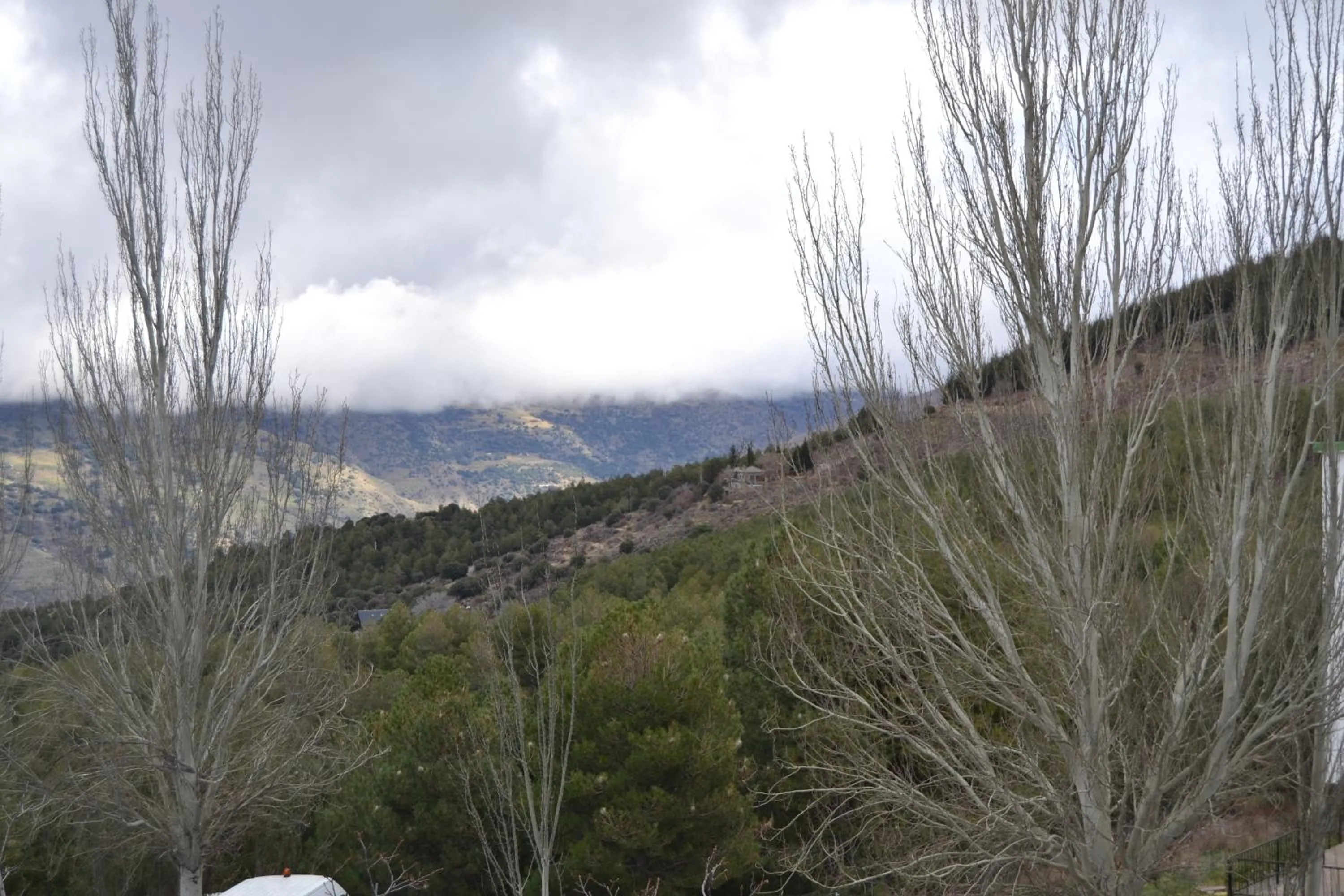 Natural landscape in Hotel Sulayr