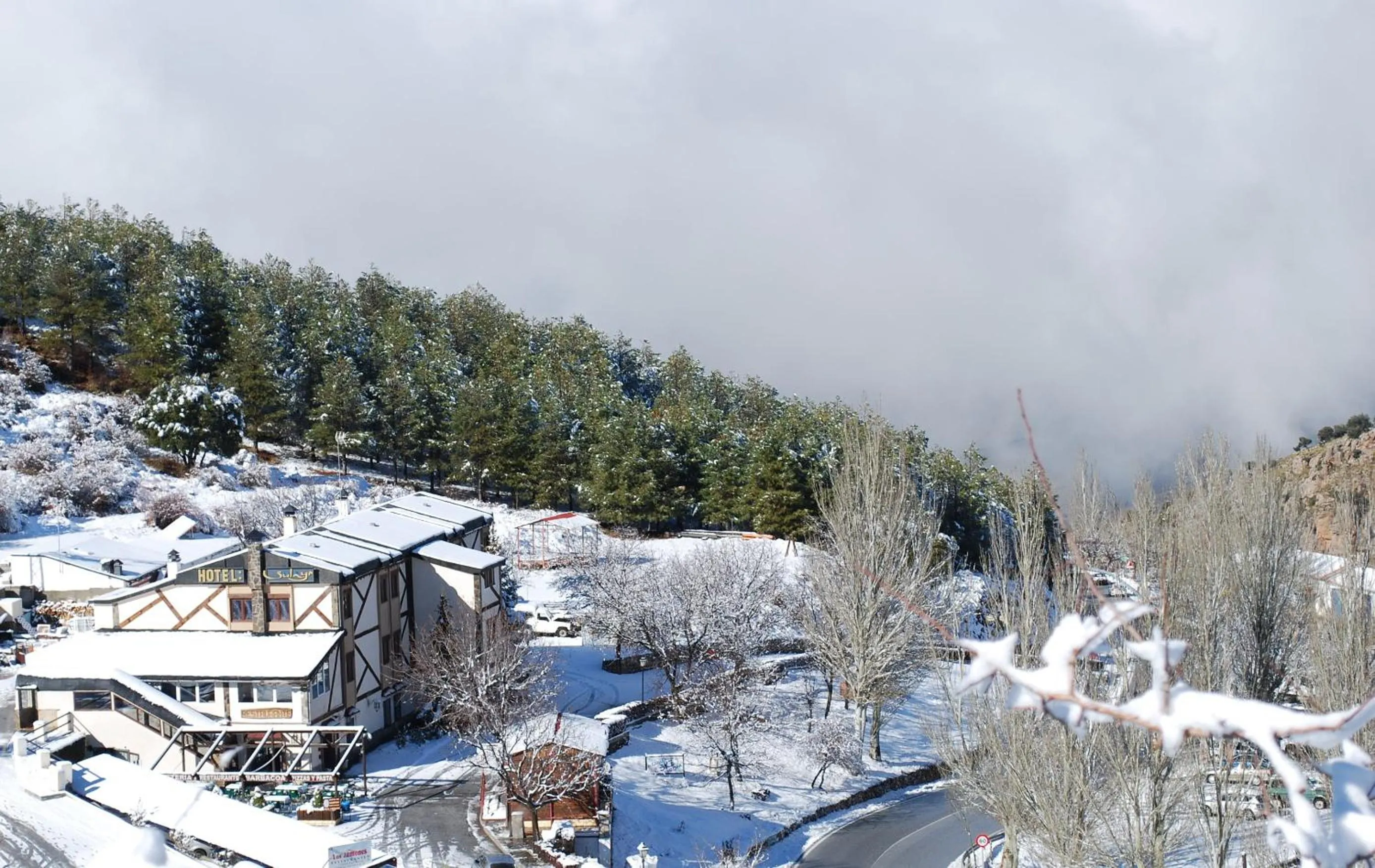 Area and facilities in Hotel Sulayr