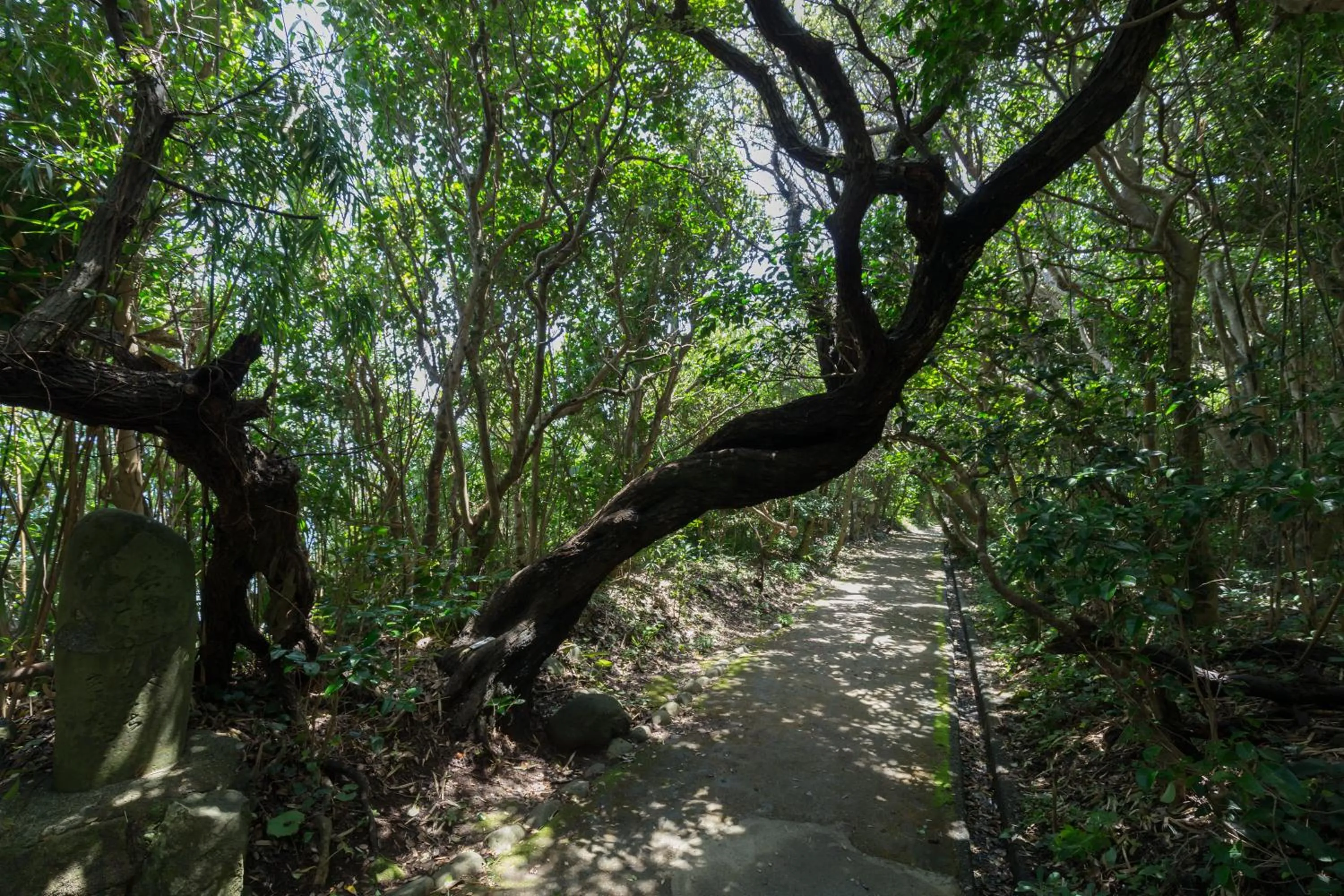 Off site in Ashizuri Kokusai Hotel
