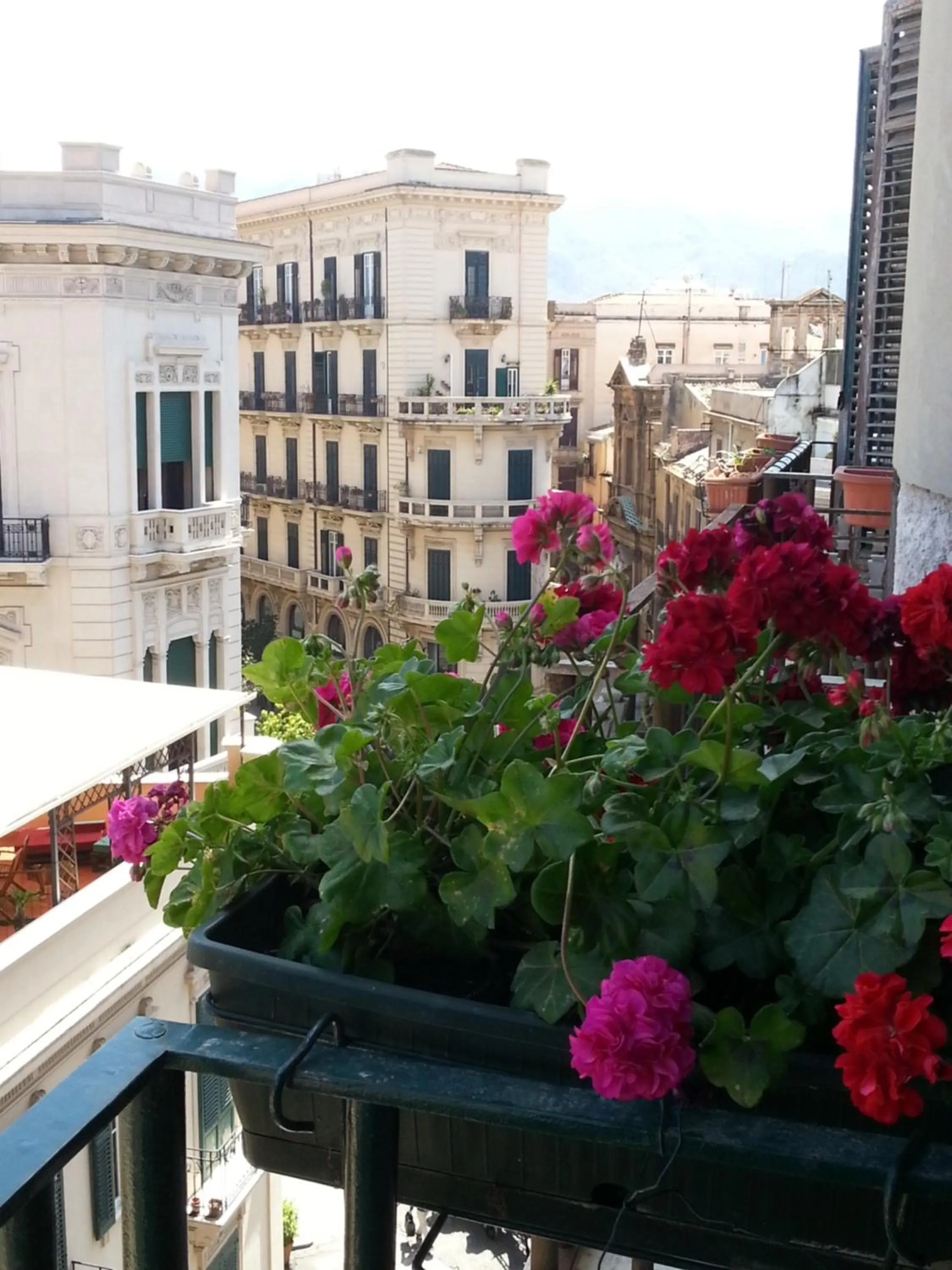 City view in Ai Lattarini House