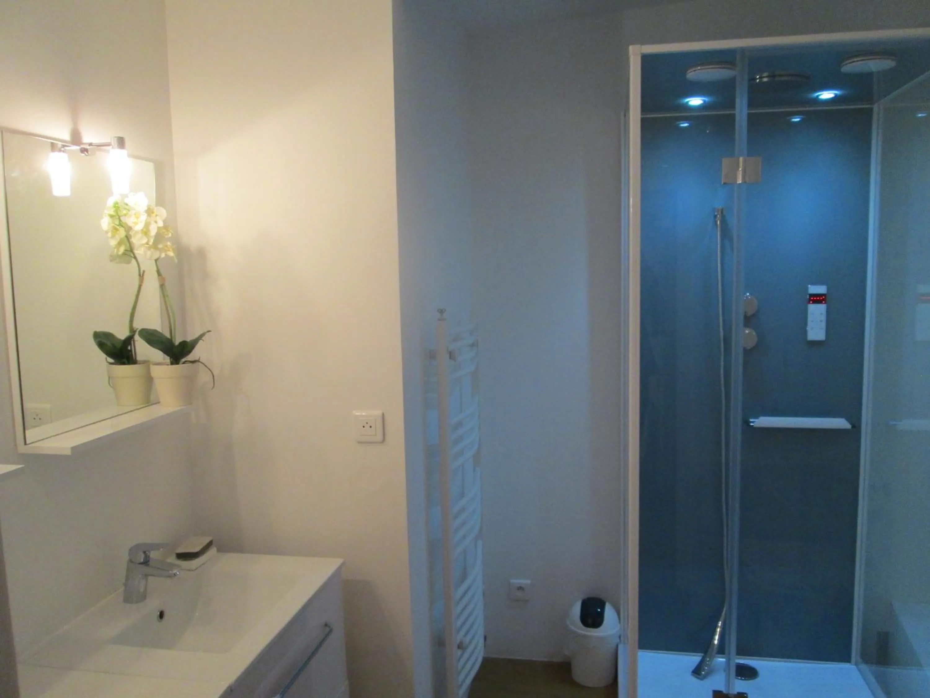 Shower in Chambres d'hôtes Atypik