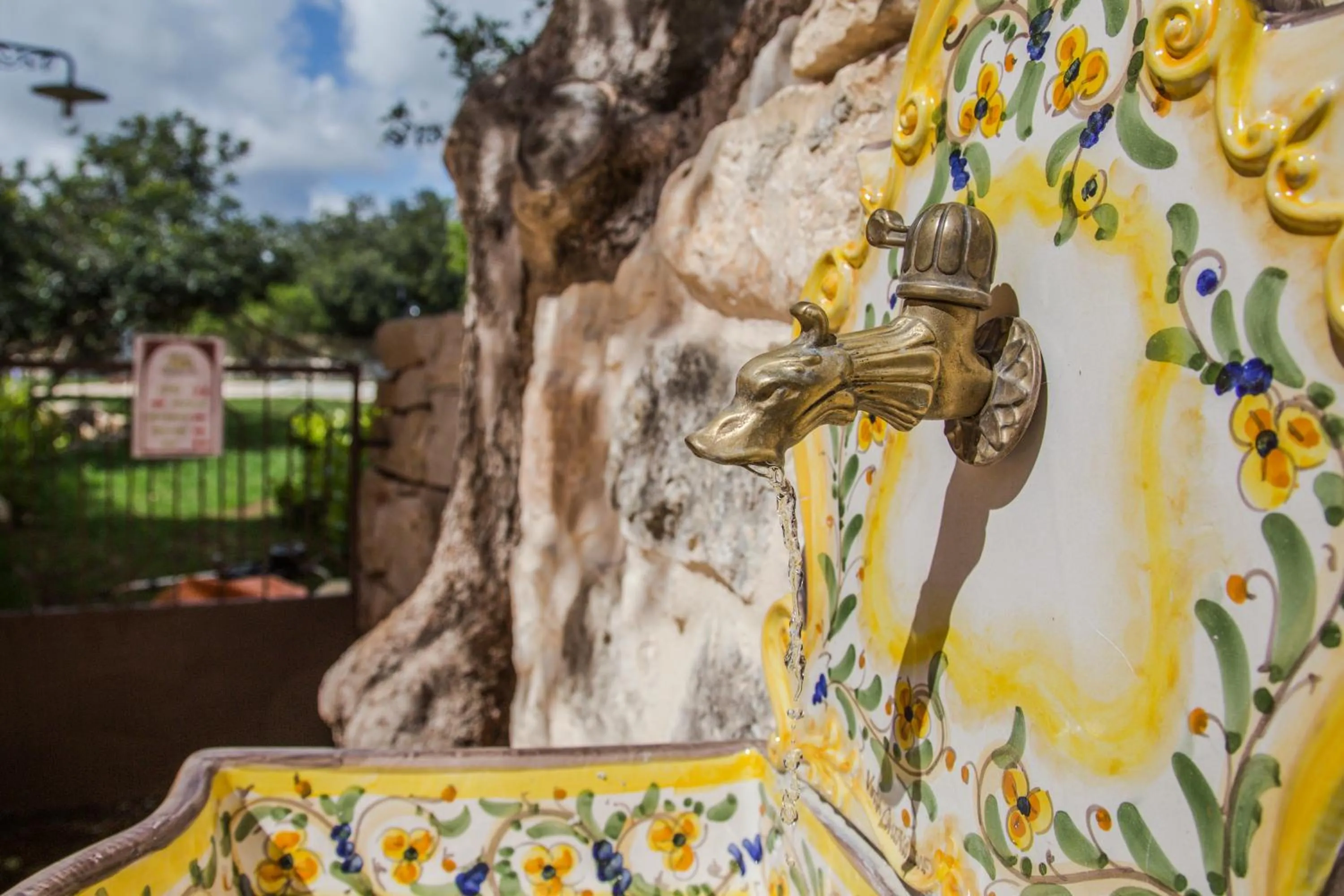 Abbraccio del Carrubo