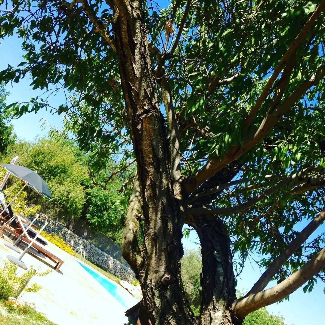 Property building in Abbraccio del Carrubo