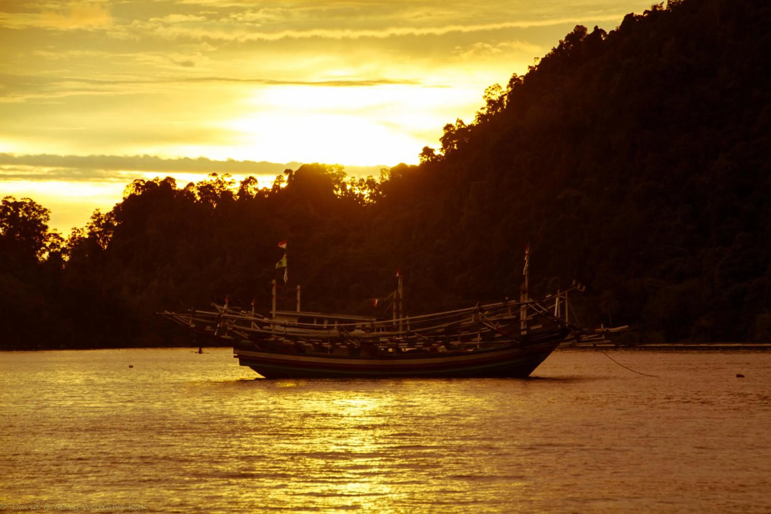 Animals in Ricky's Beach House