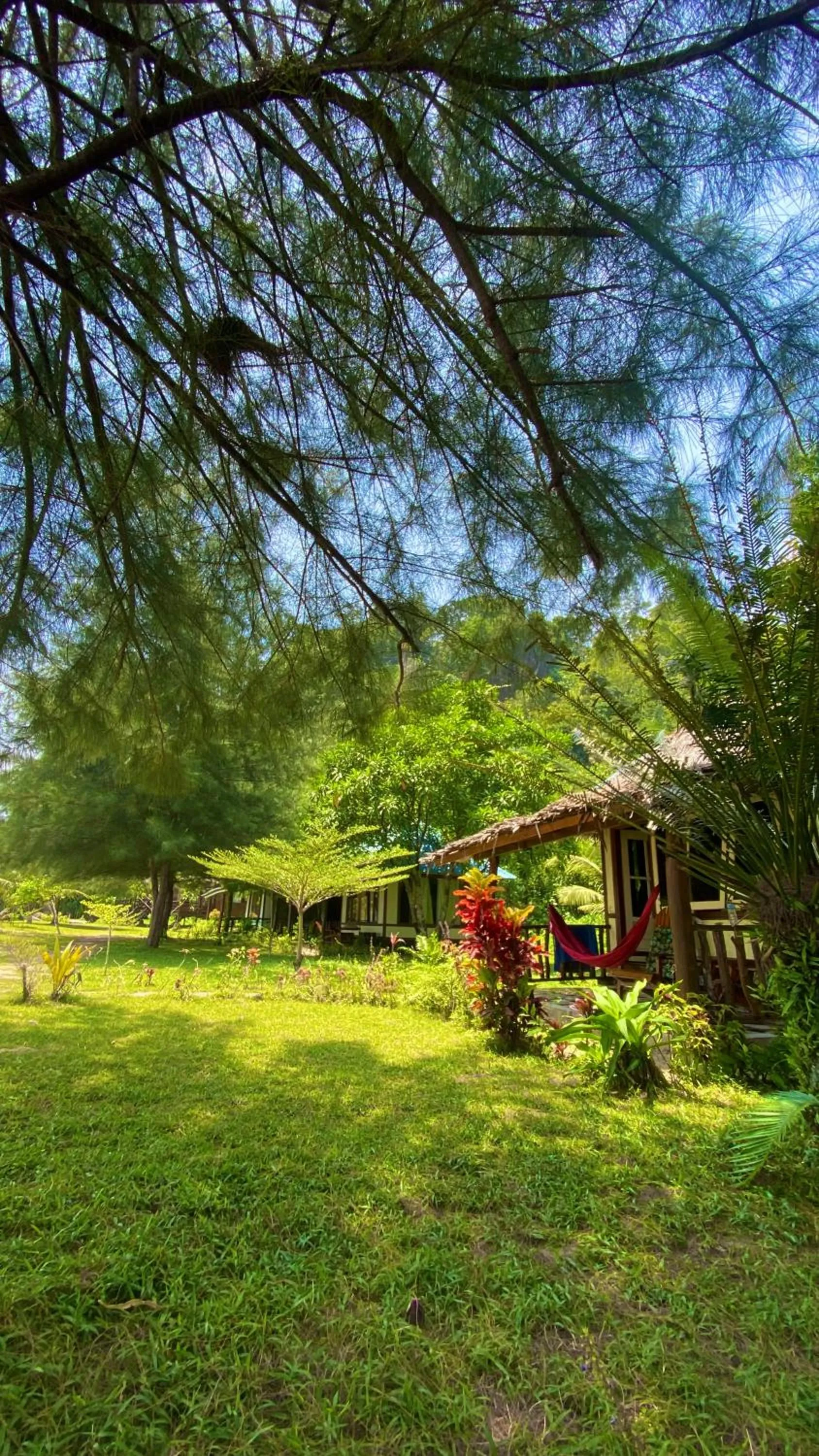 Garden view in Ricky's Beach House