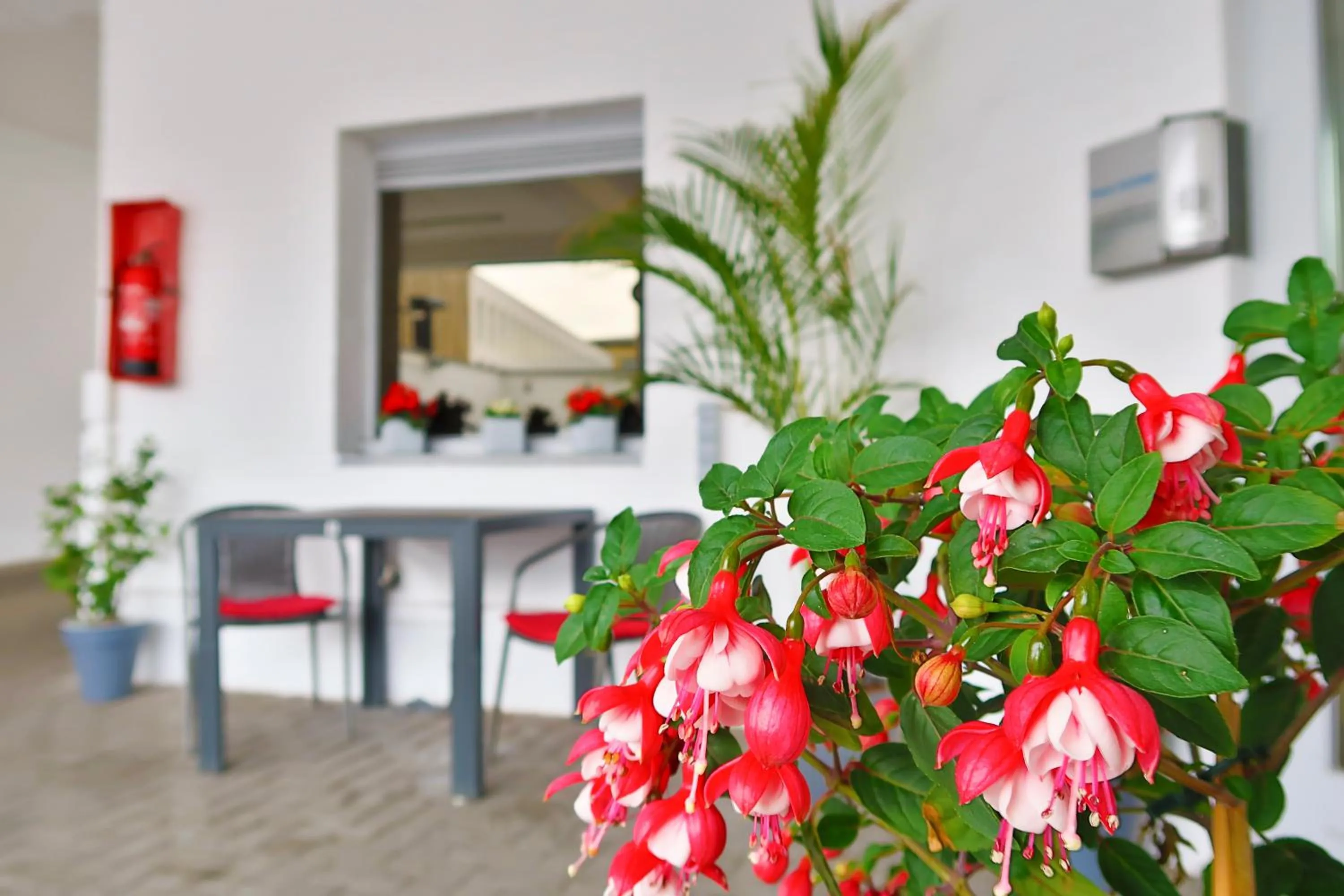 Other in Hotel Adoma