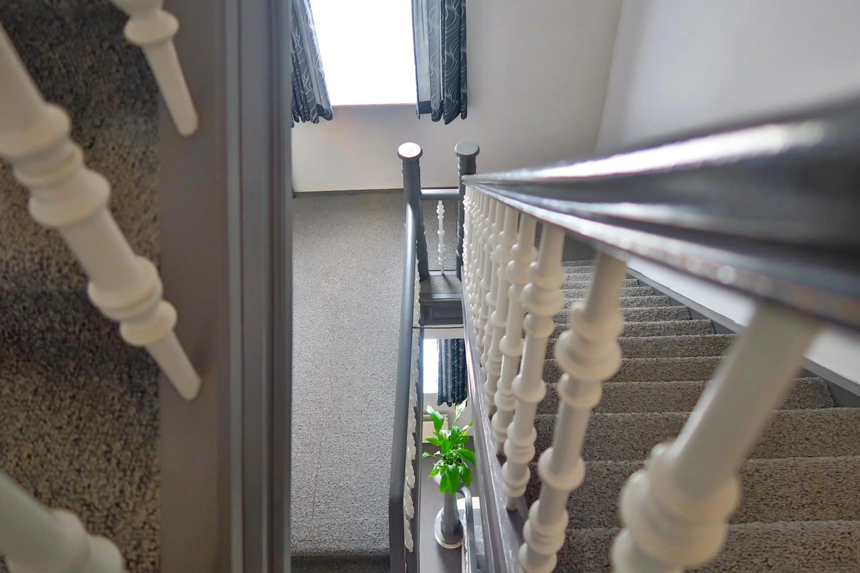 Other in Hotel Adoma