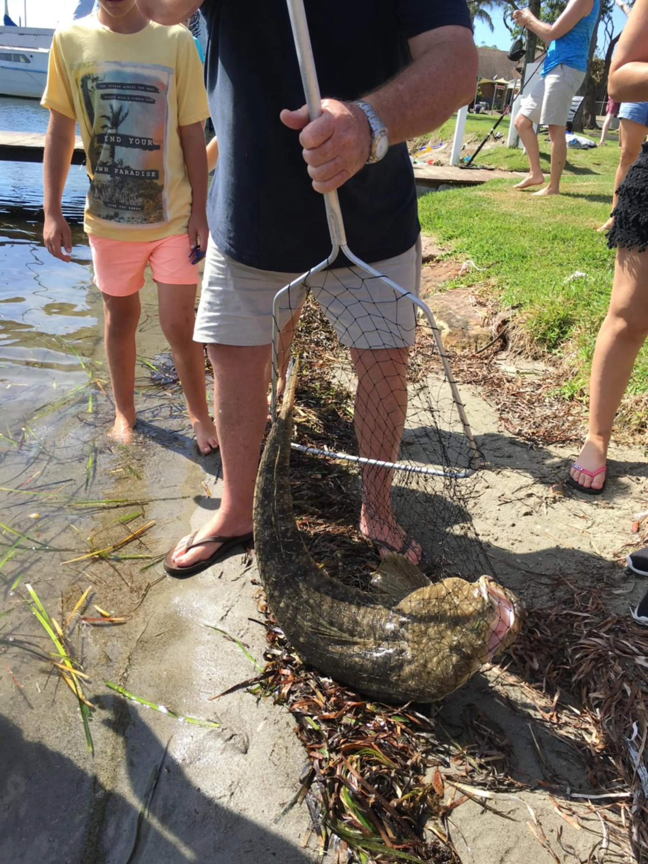 Bird's eye view in Laguna lodge Group Accommodation
