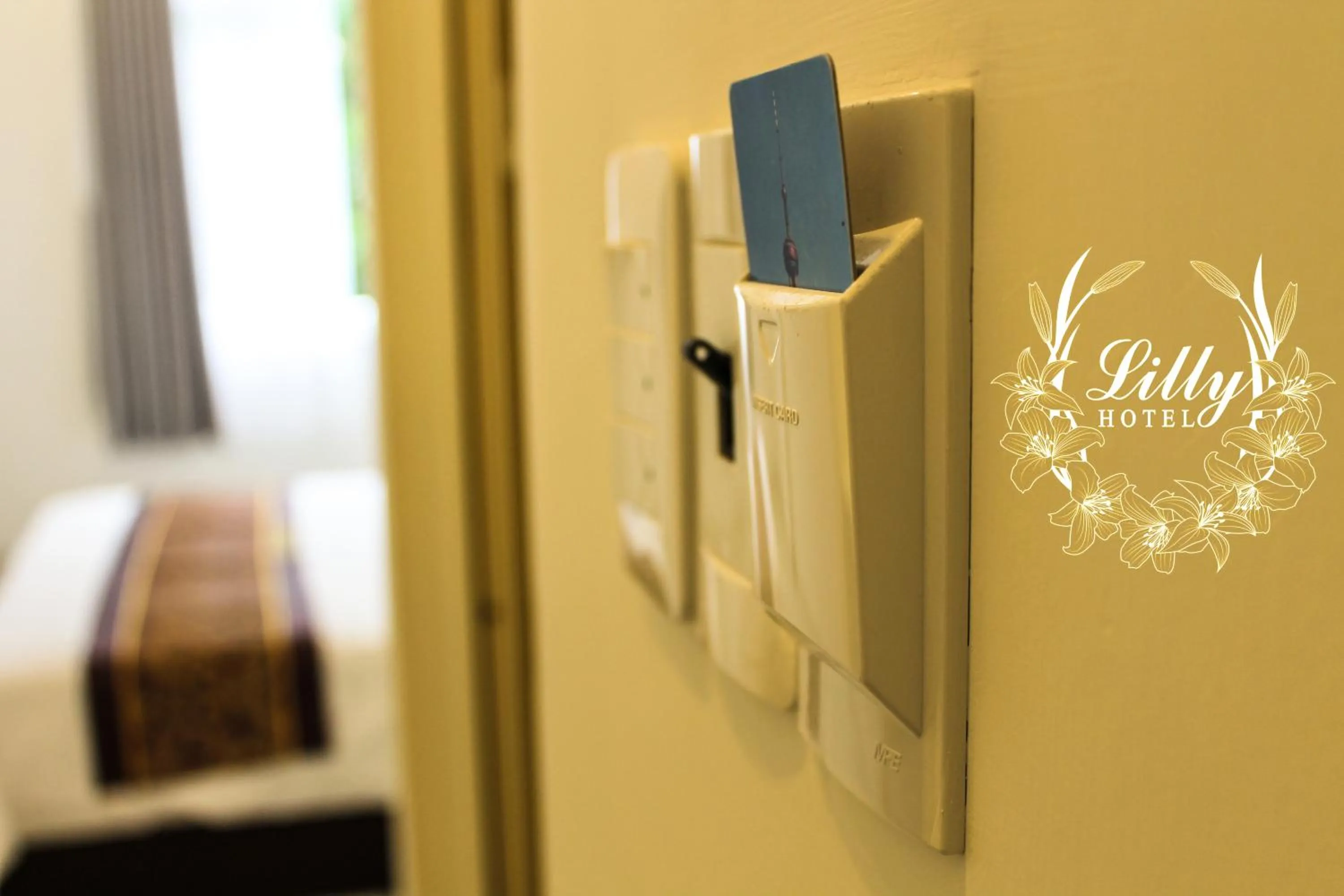 Photo of the whole room in Lilly Hotel