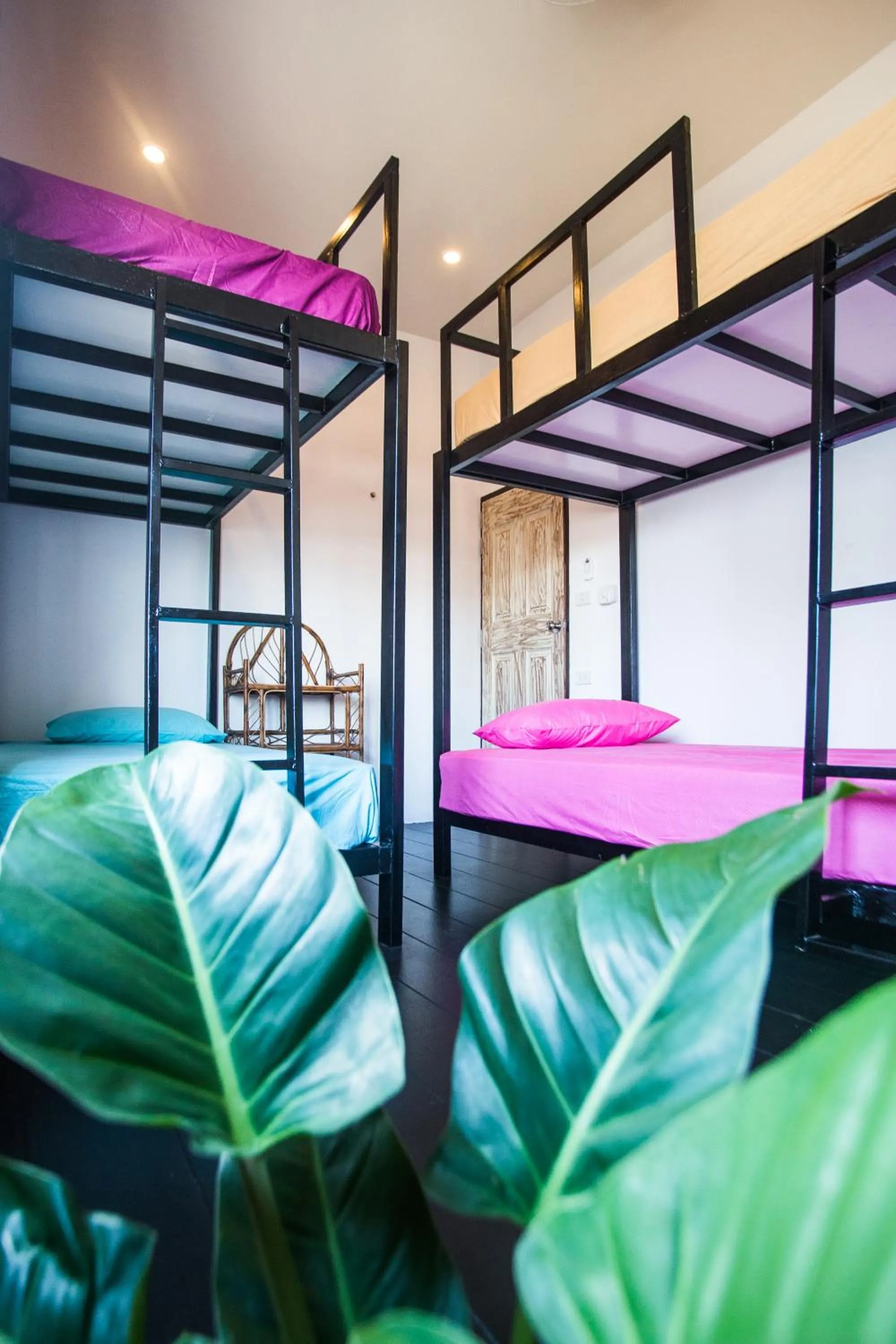 bunk bed, Bed in Sweet Life Guesthouse