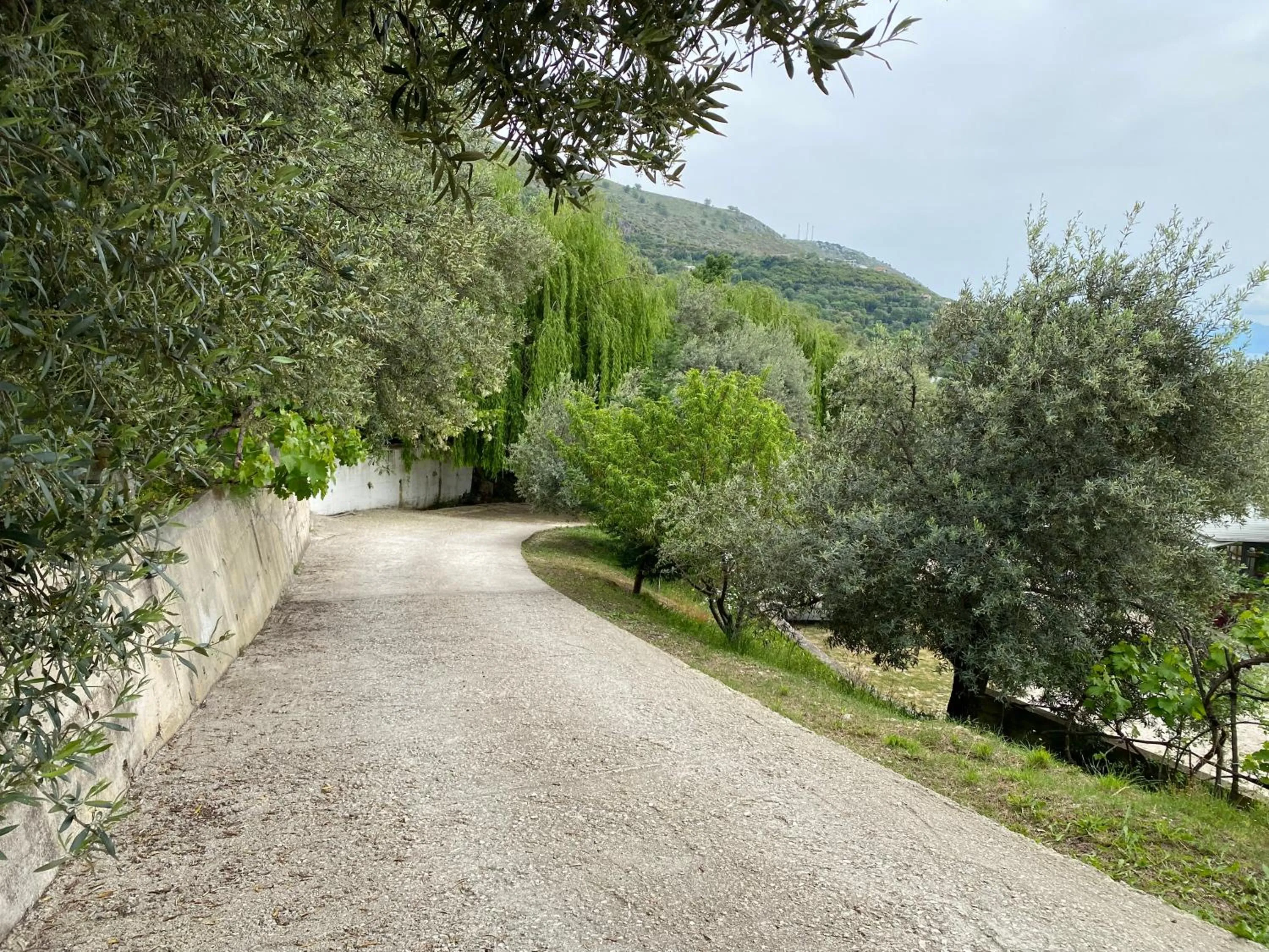 Natural landscape in OniRana Apartments