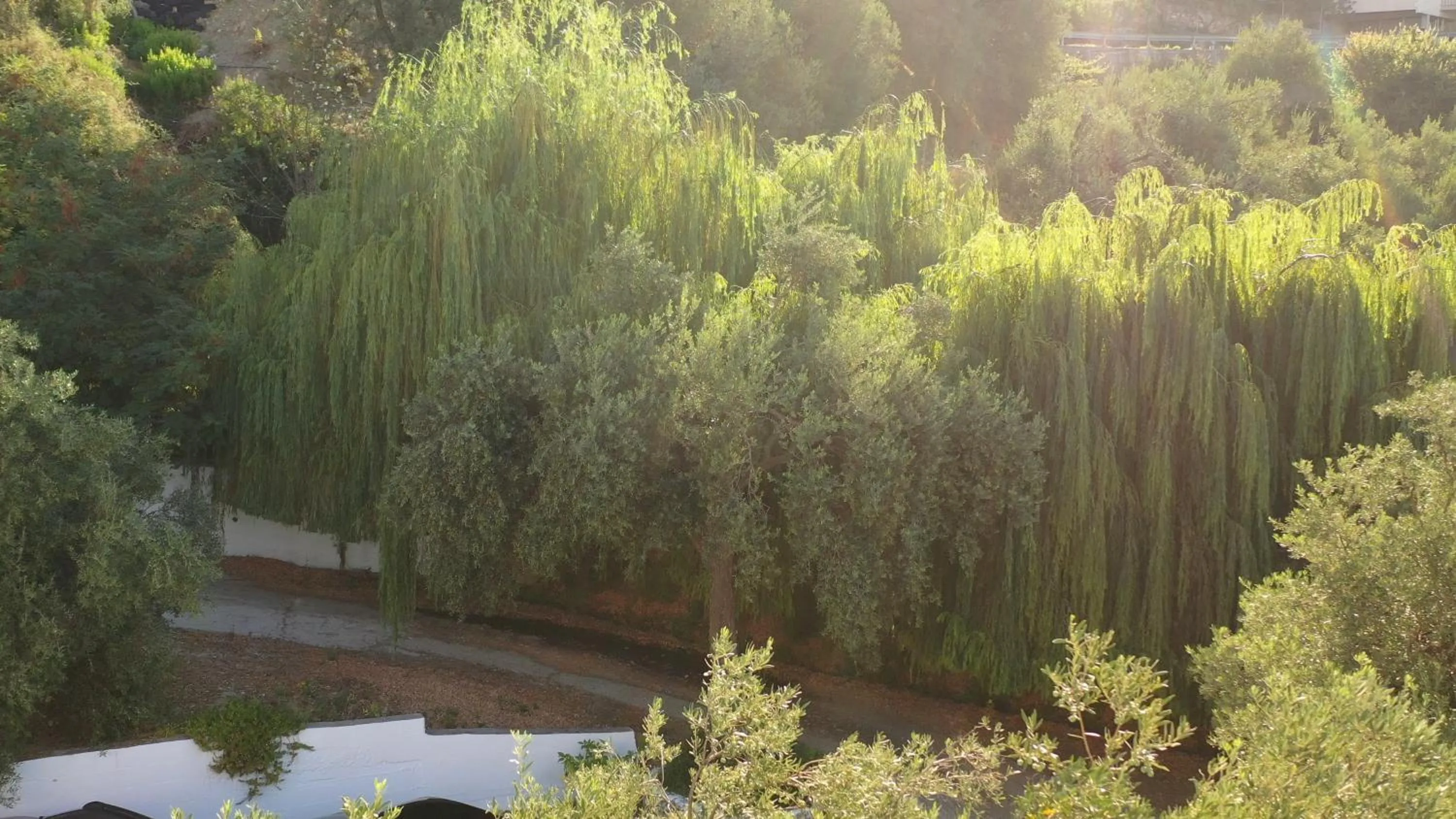 Natural landscape in OniRana Apartments