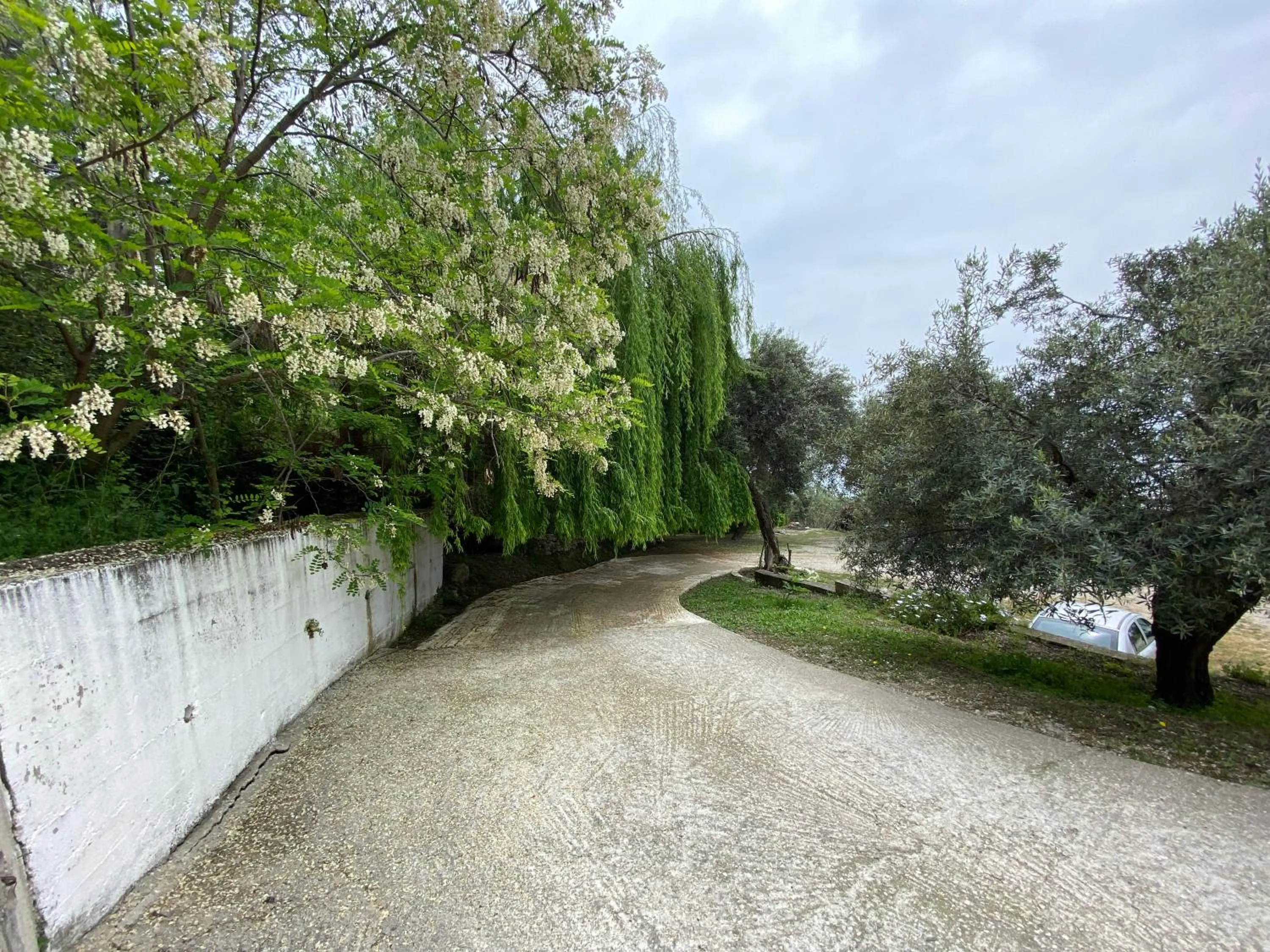 Natural landscape in OniRana Apartments