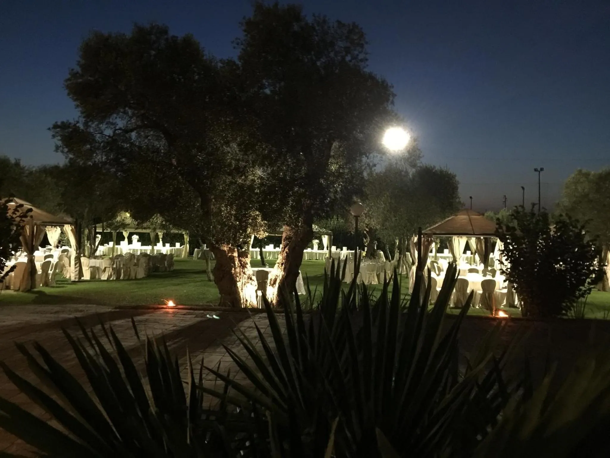 Banquet/Function facilities in Tenuta Caradonna