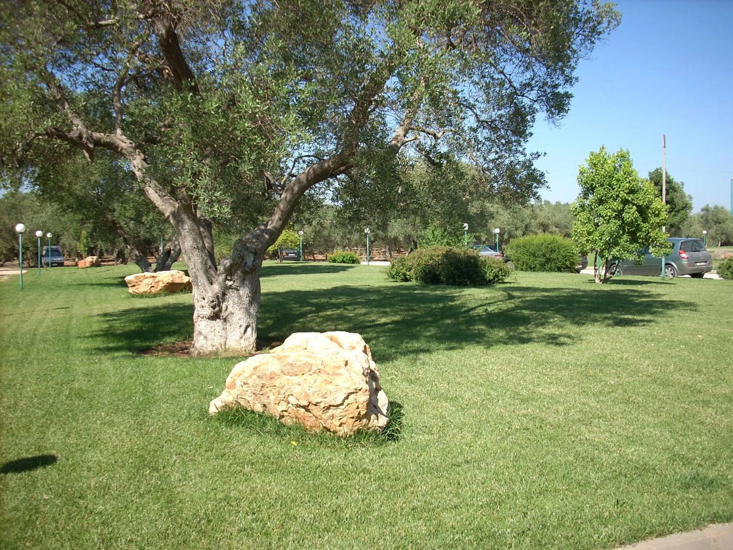 On site in Tenuta Caradonna