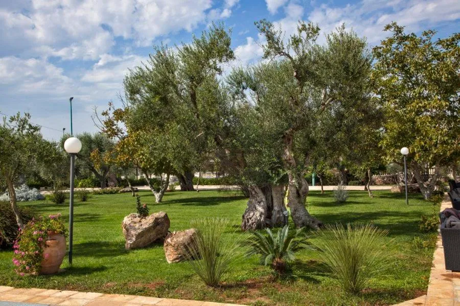 On site in Tenuta Caradonna