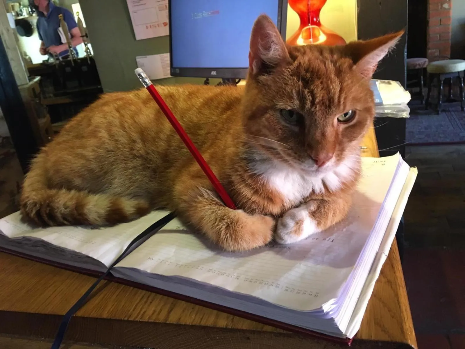 Lobby or reception in The Three Cups Inn