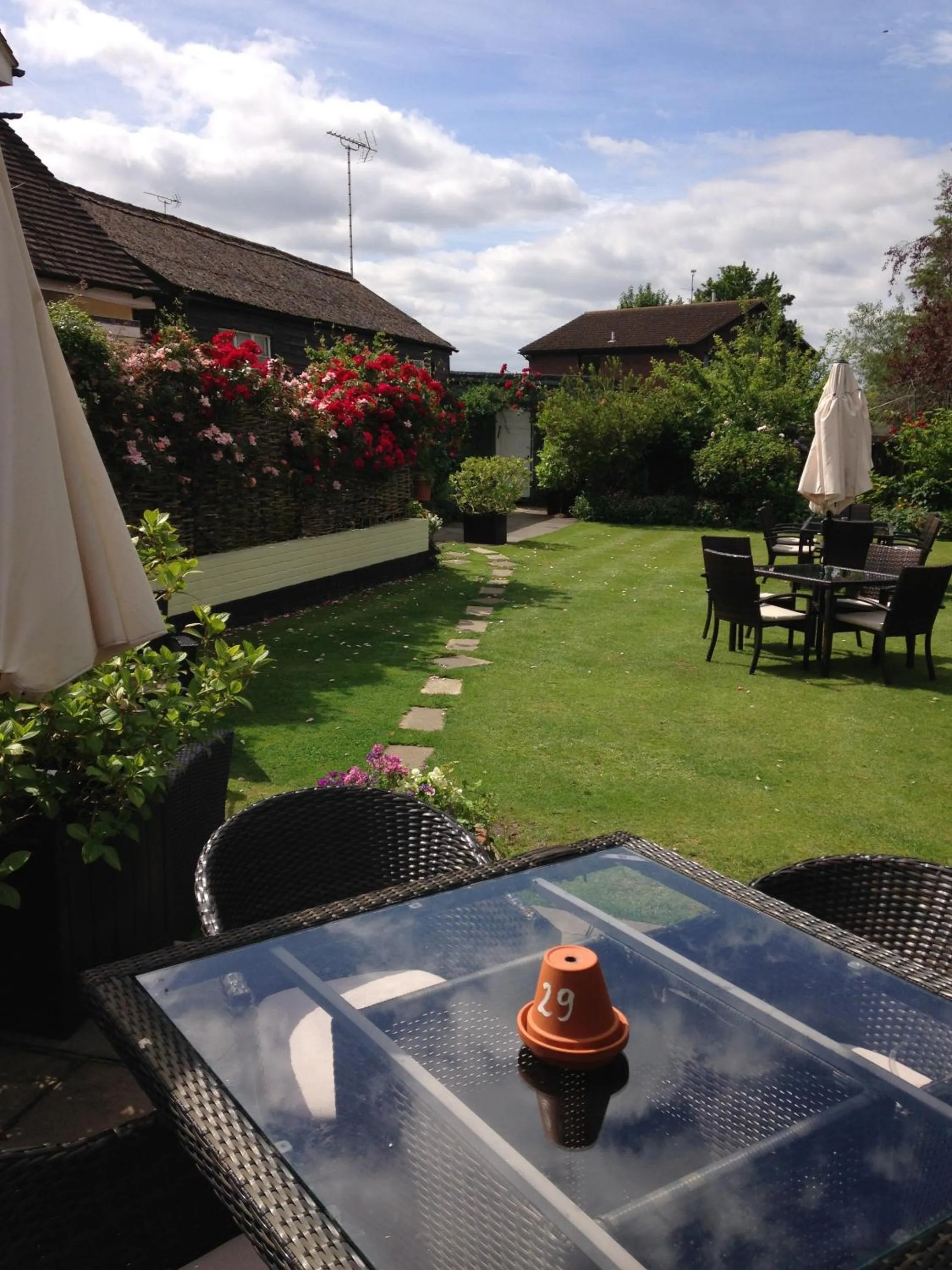 Garden in The Three Cups Inn