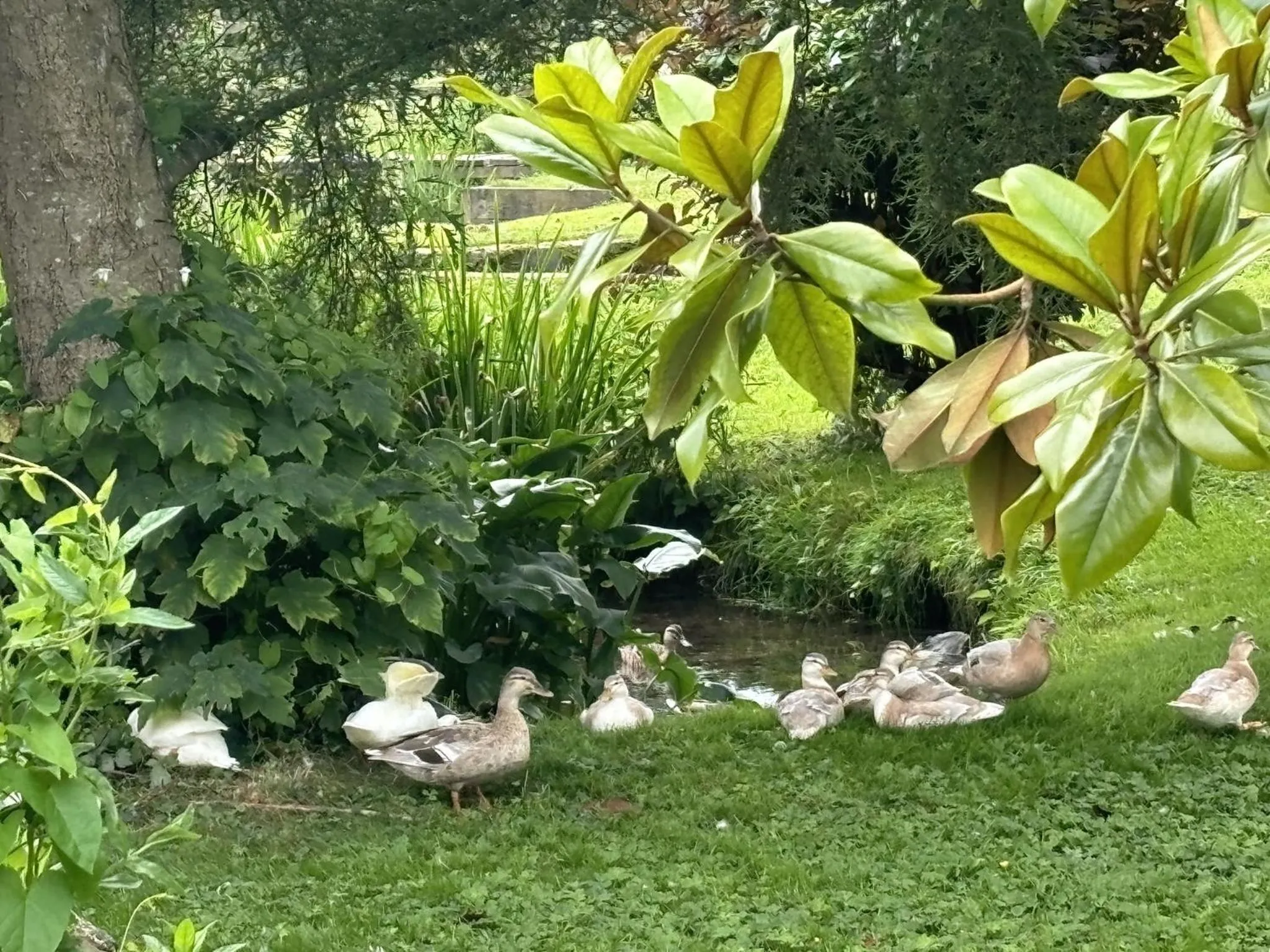 Natural landscape in The Three Cups Inn