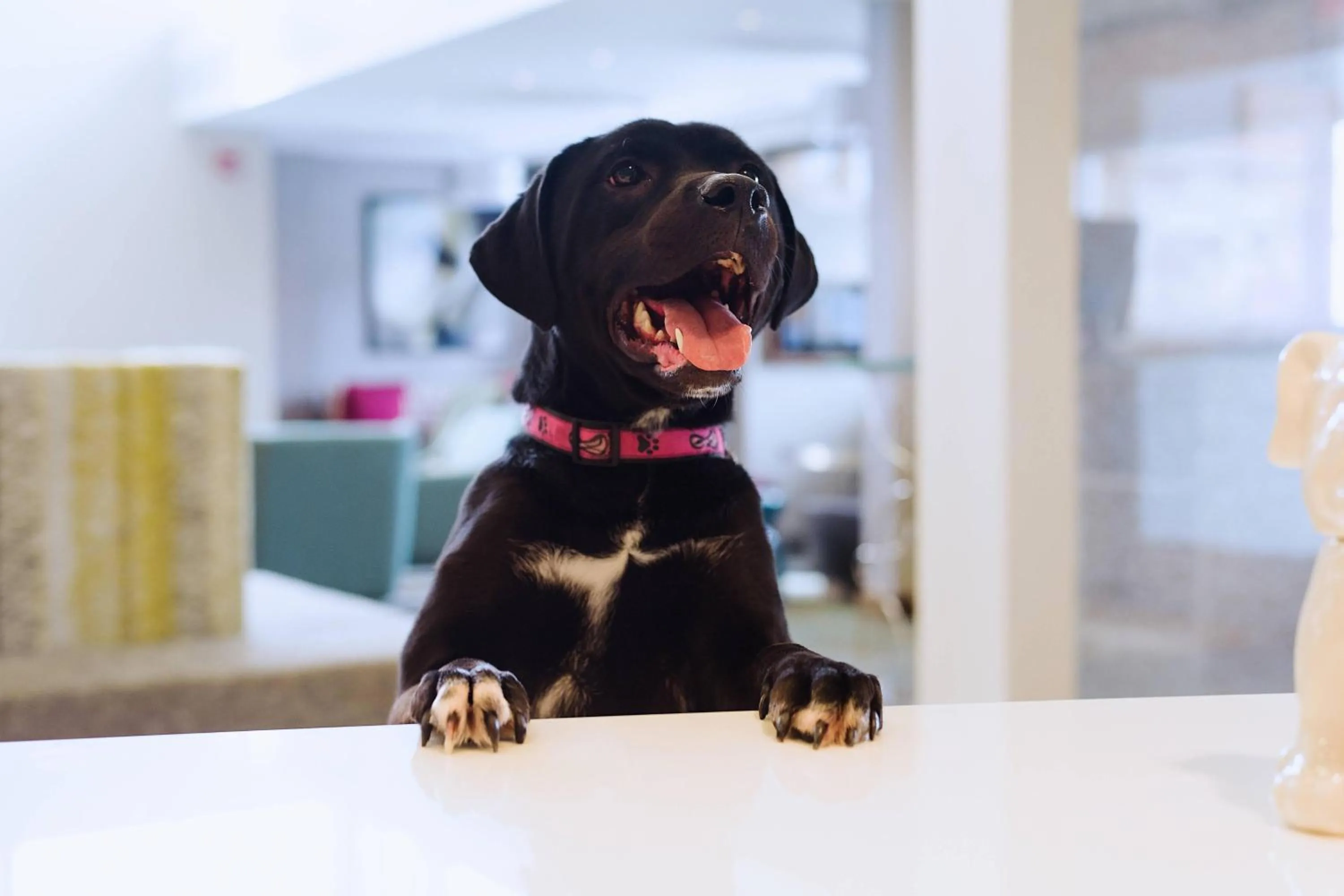 Other in Residence Inn by Marriott Philadelphia Glen Mills/Concordville