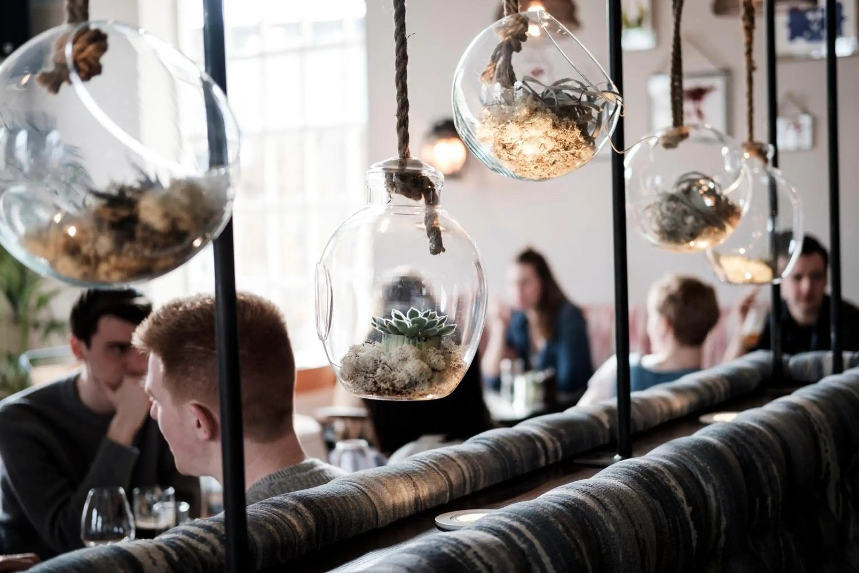 Restaurant/places to eat in Half Moon Restaurant/places to eat in Half Moon