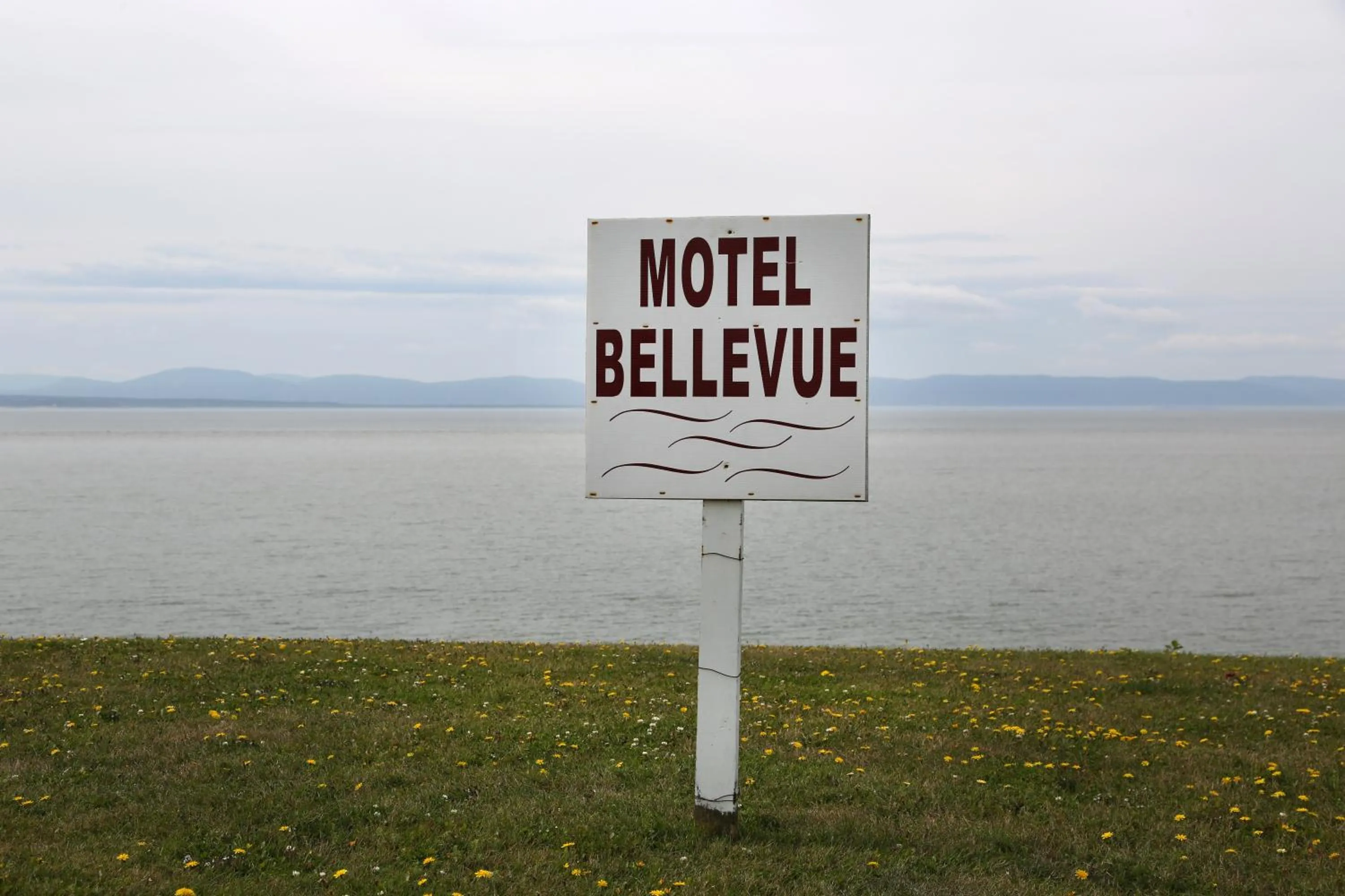Property logo or sign in Motel Bellevue