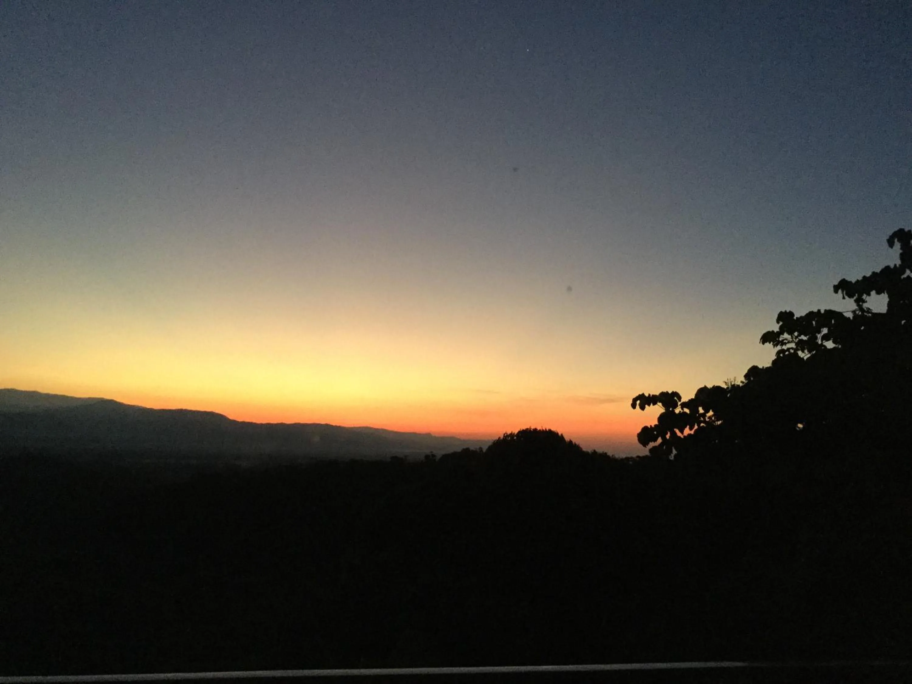 Garden view in Casa Libertinn