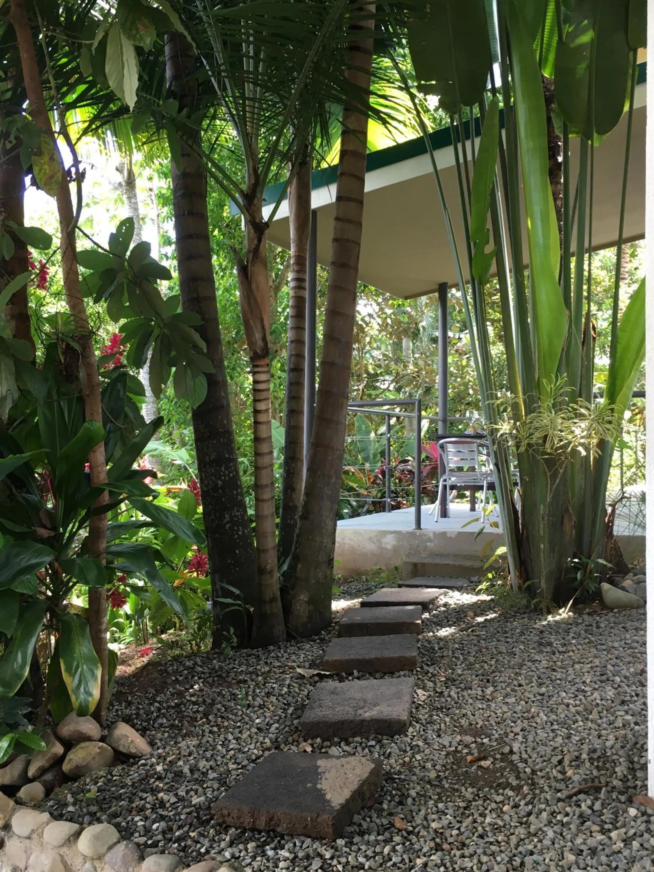 Patio in Casa Libertinn