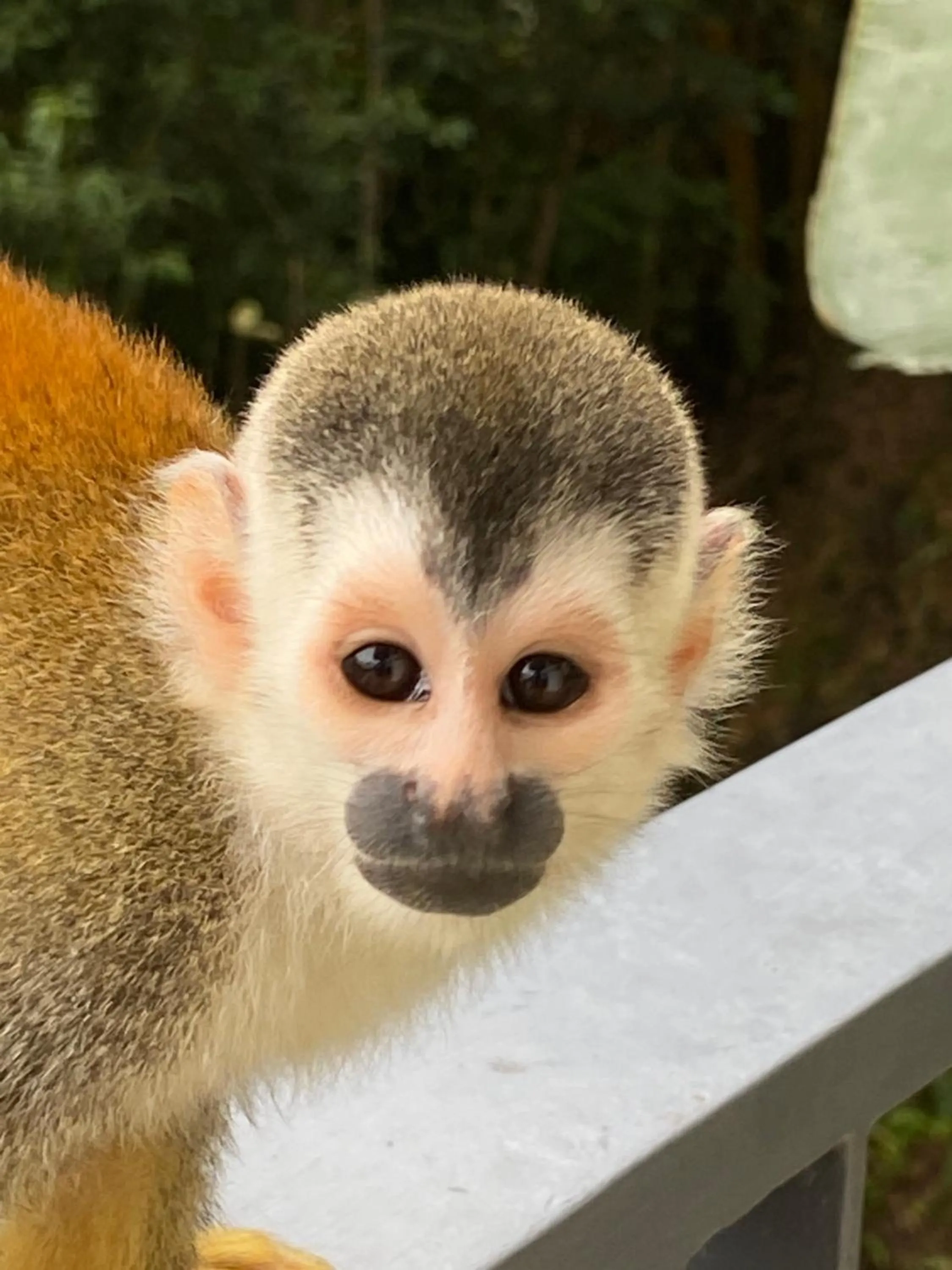 Nearby landmark in Casa Libertinn