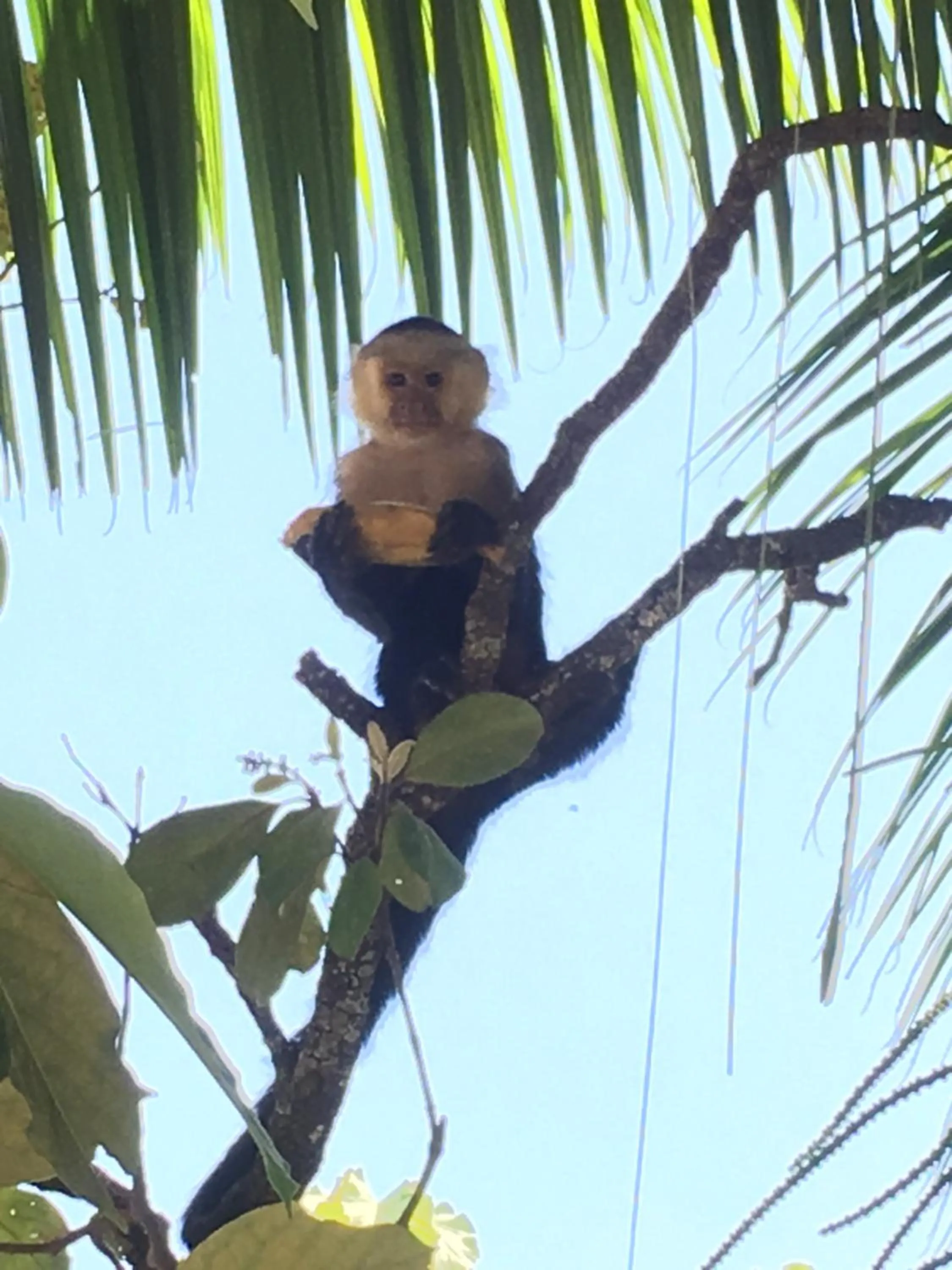 People in Casa Libertinn