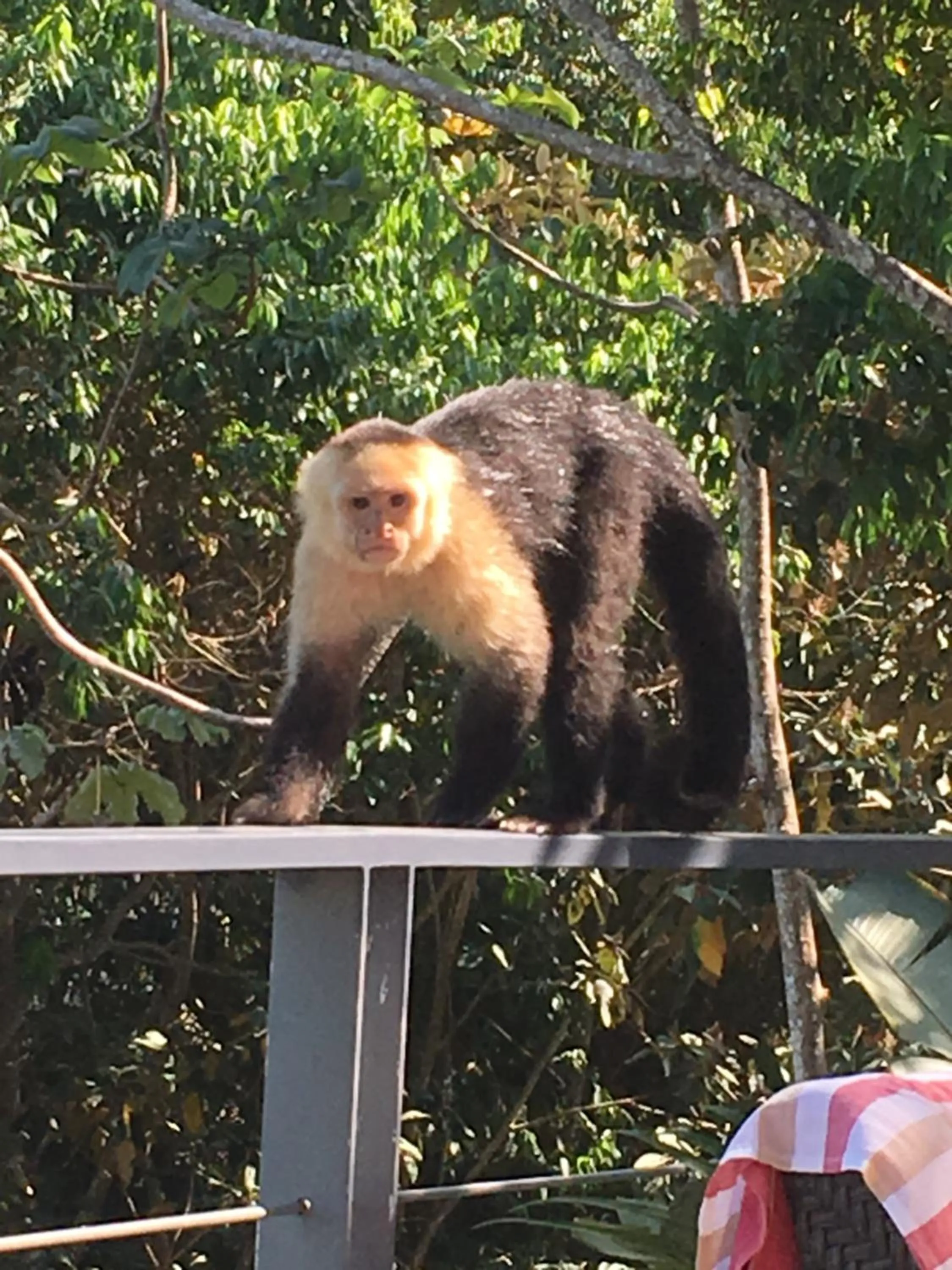View (from property/room) in Casa Libertinn