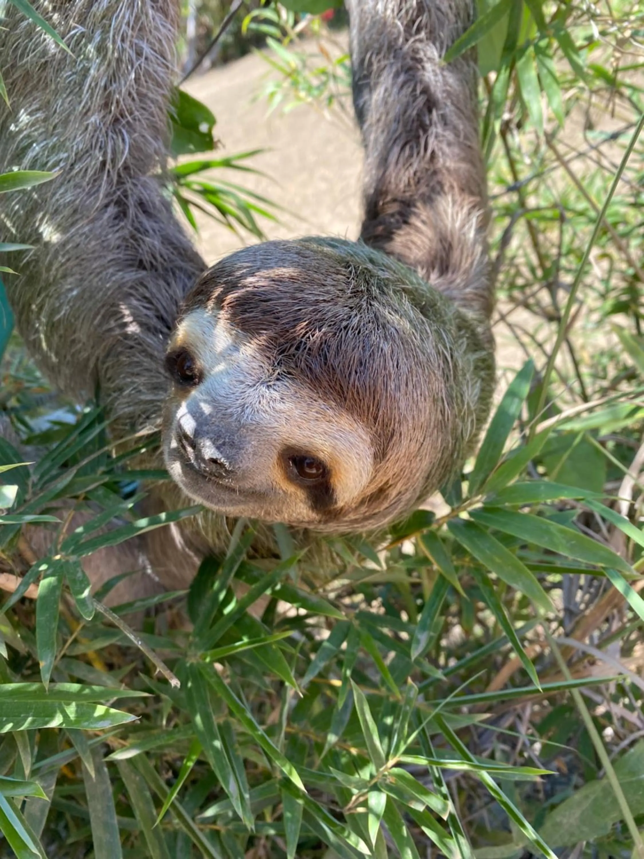 Garden in Casa Libertinn