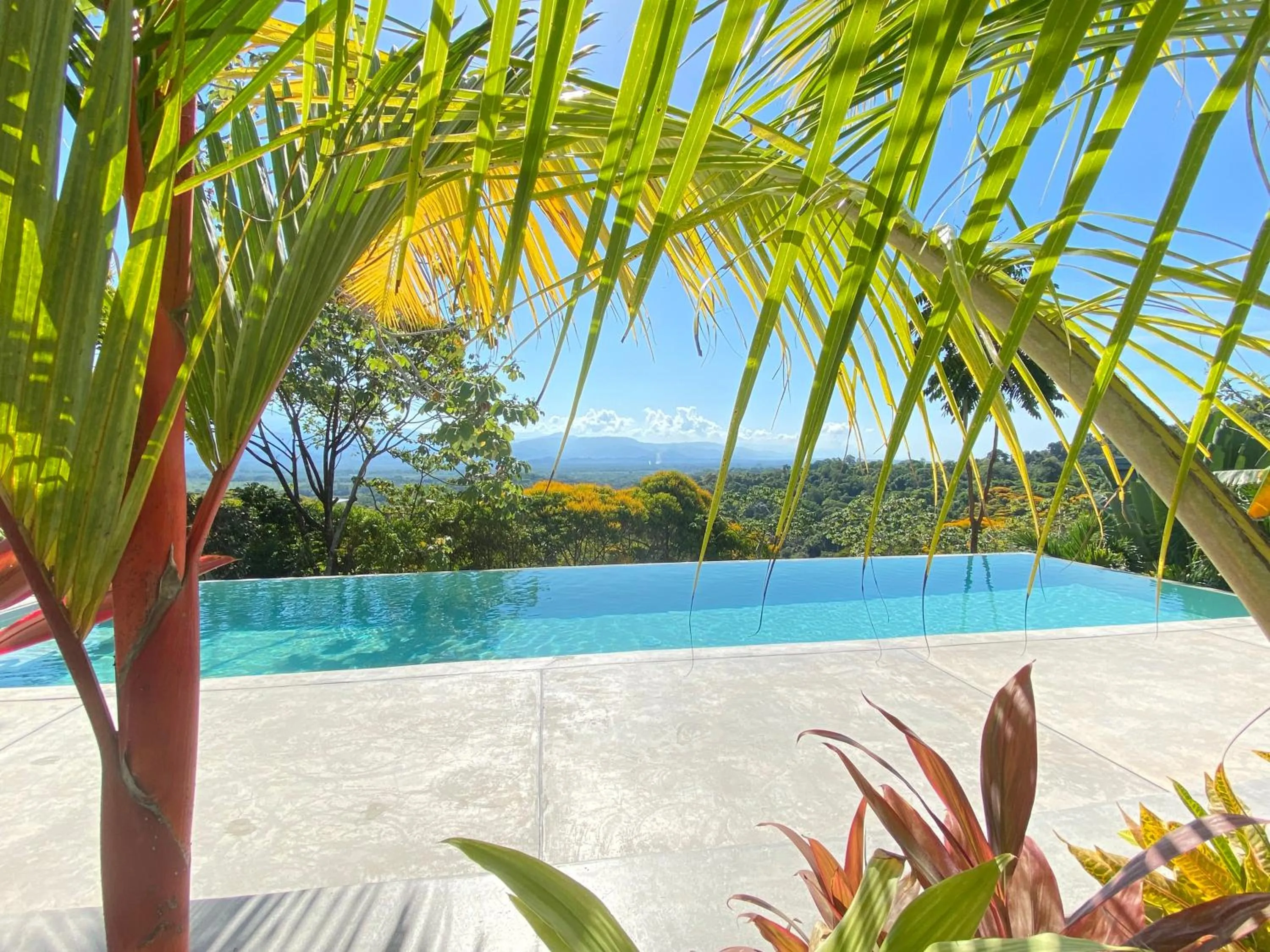 Swimming pool in Casa Libertinn