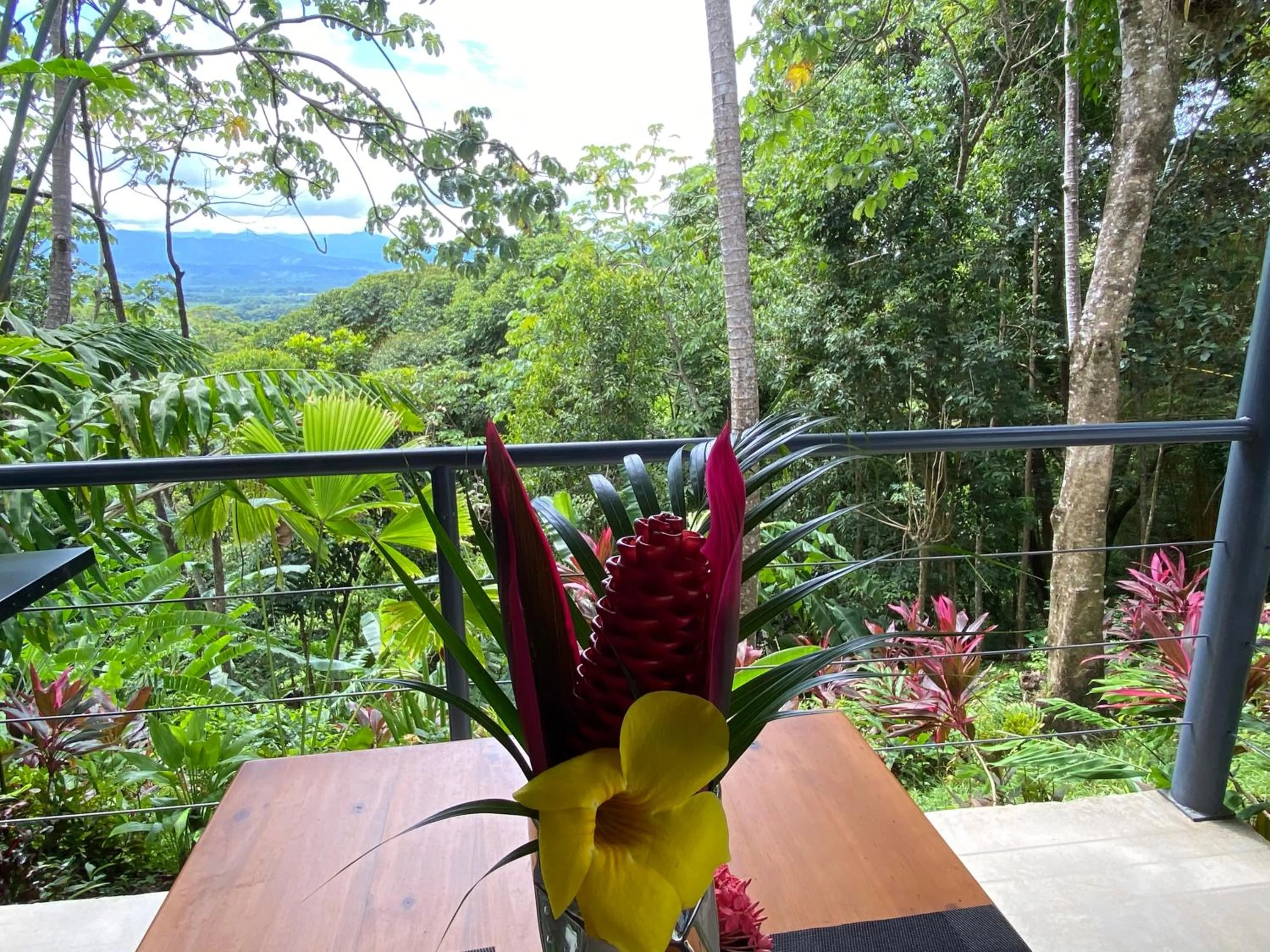 Garden view in Casa Libertinn