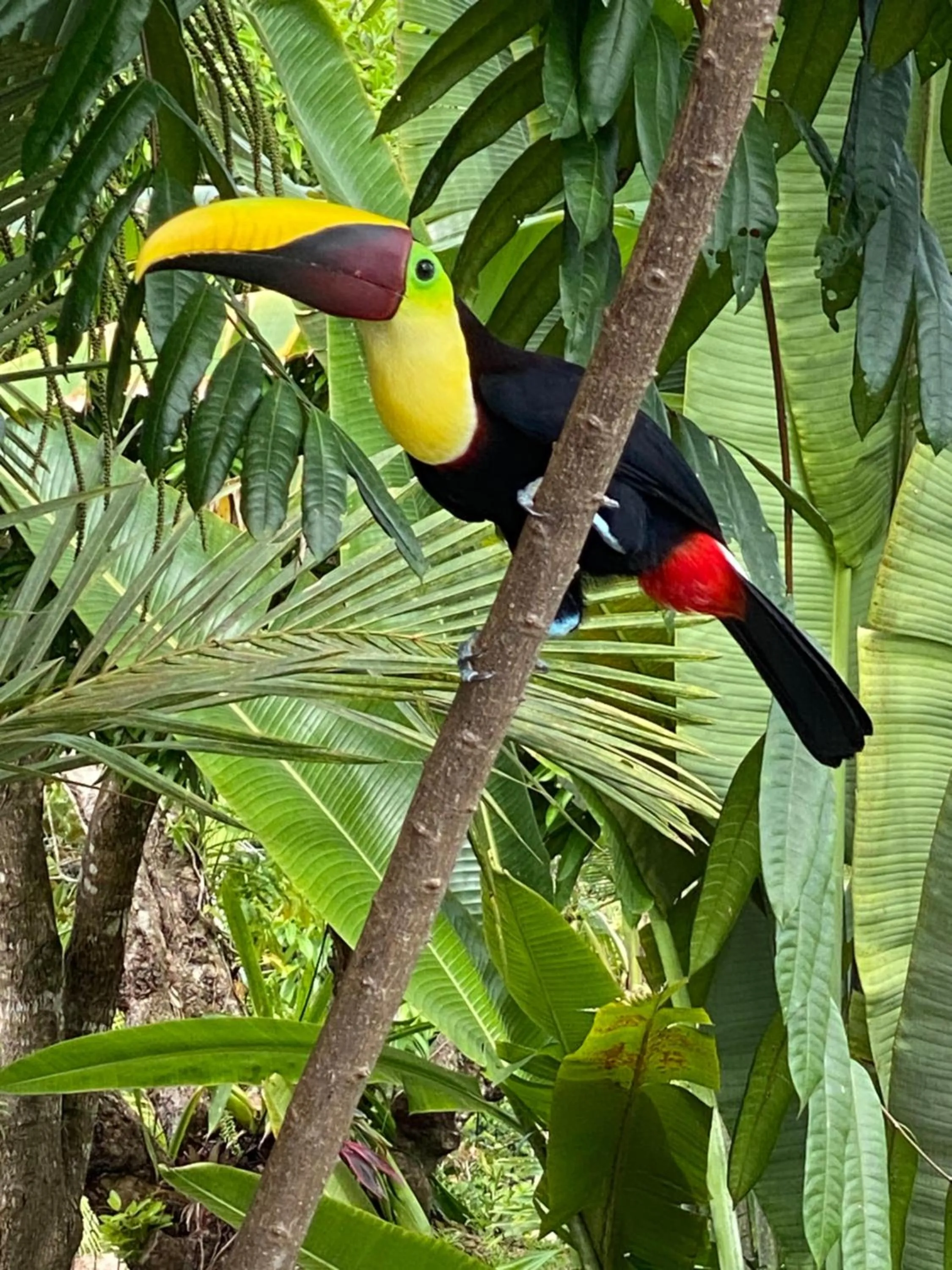 Nearby landmark in Casa Libertinn