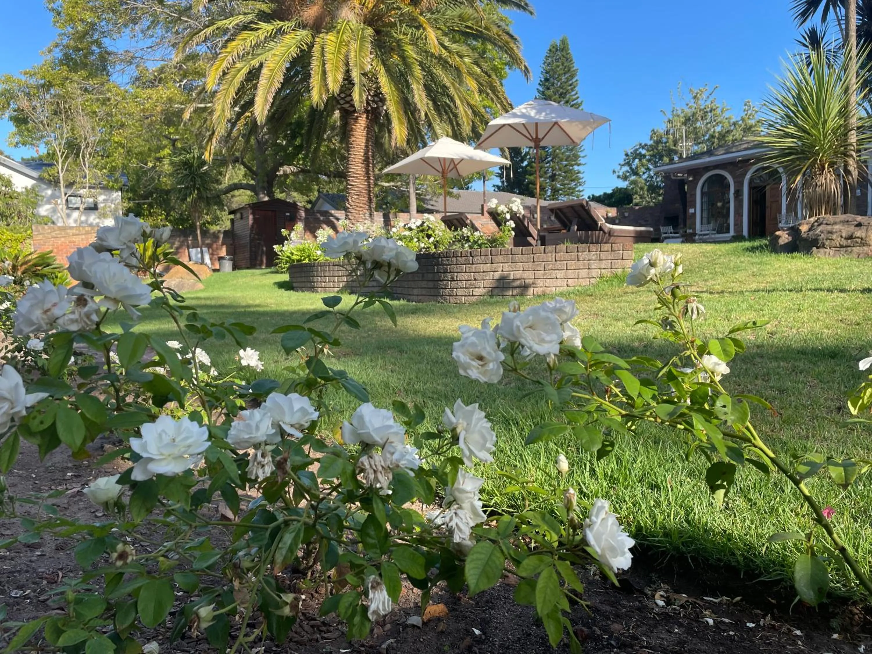 Garden in Boutique Villa Guesthouse