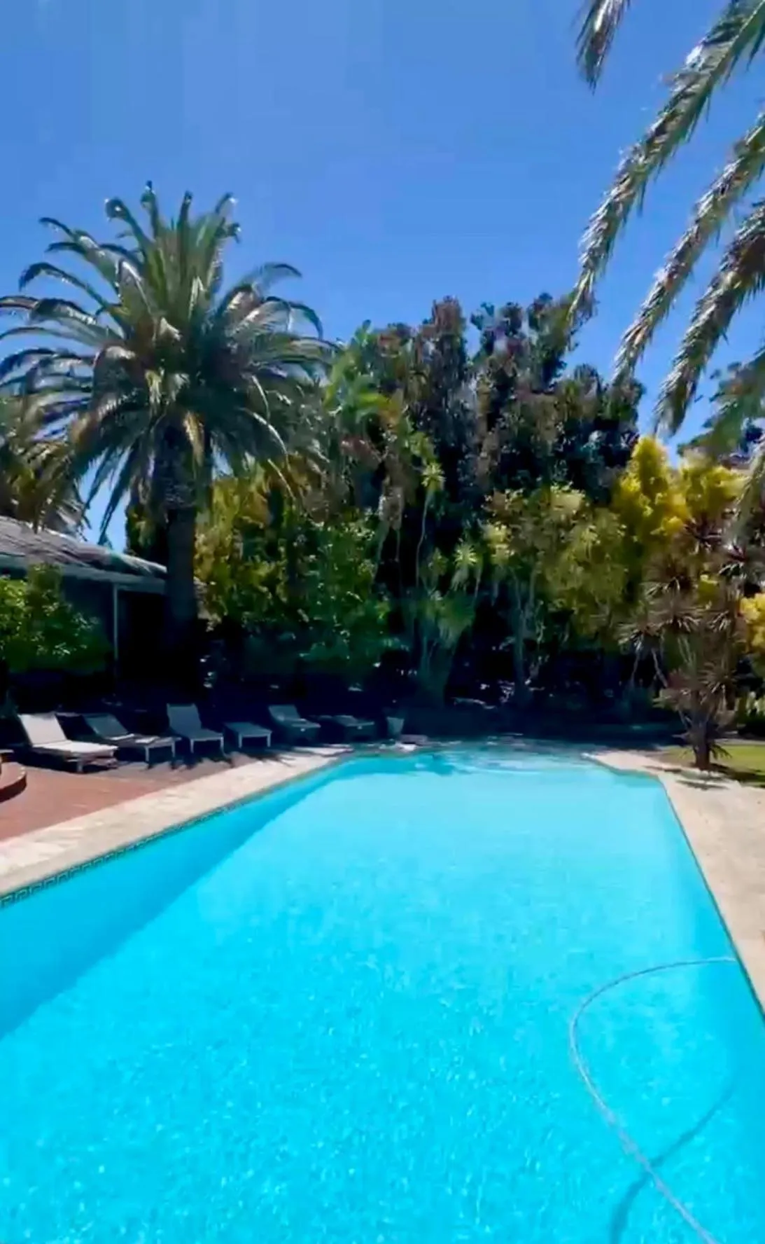 Garden in Boutique Villa Guesthouse