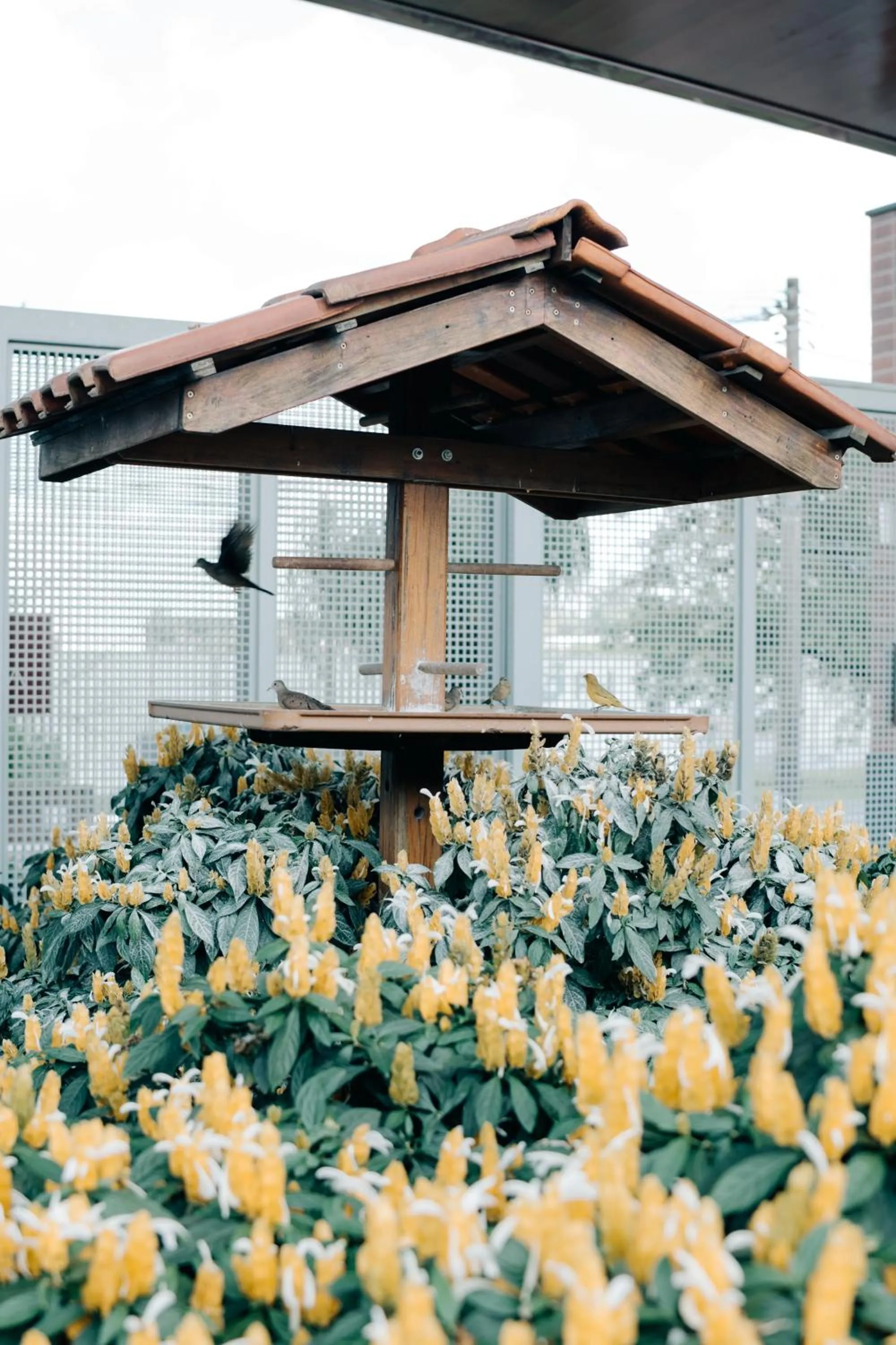 Portal Hotel Mogi Mirim