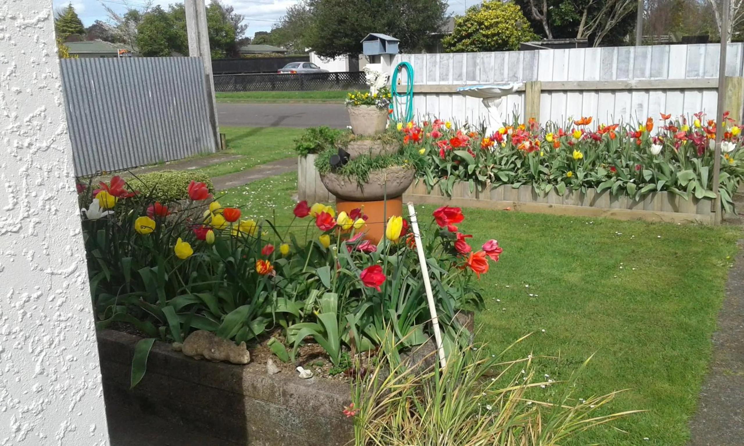 Garden in The_Cozy_Batch With a rural view