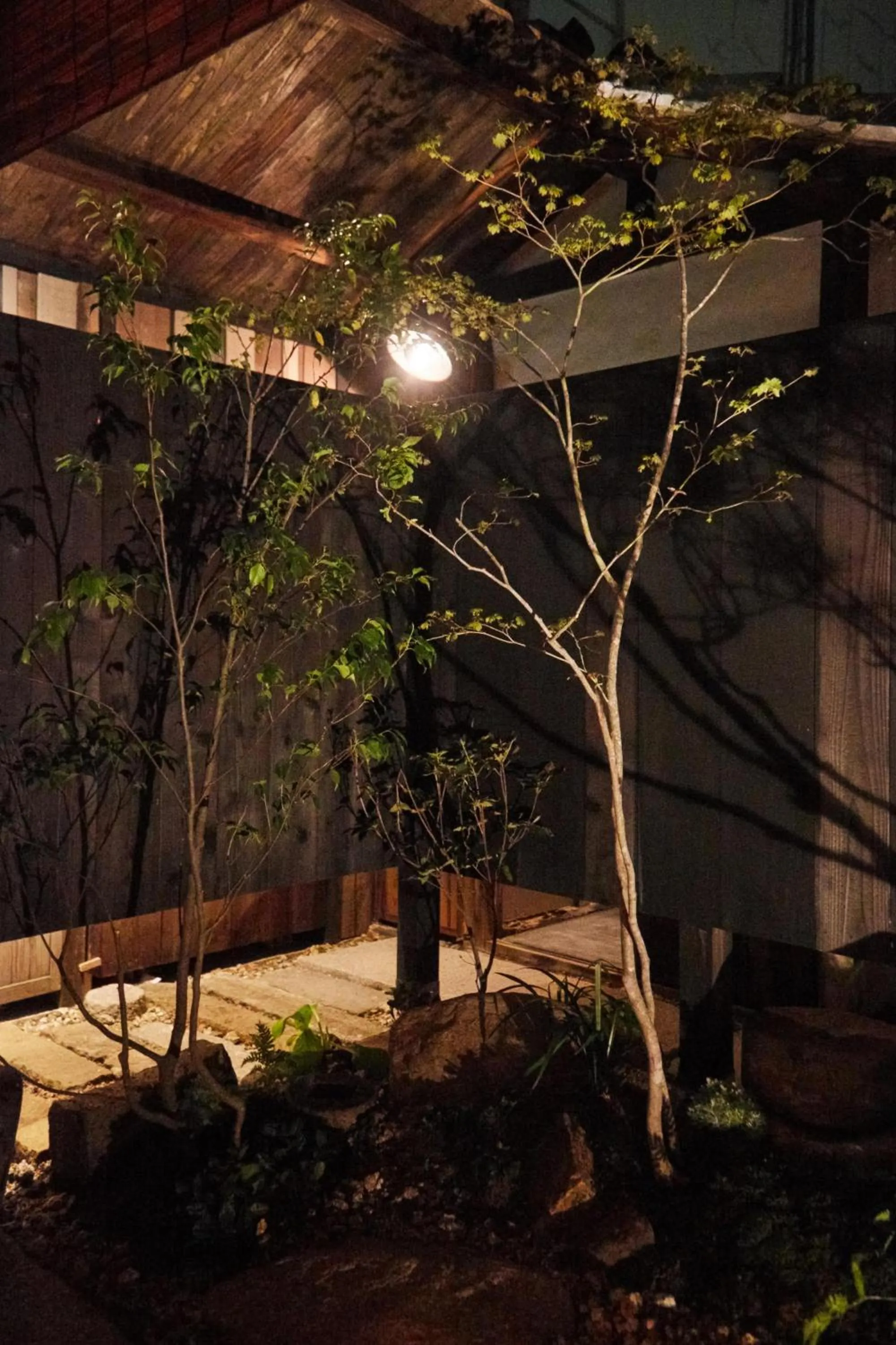 Night in sakainoma hotel 熊