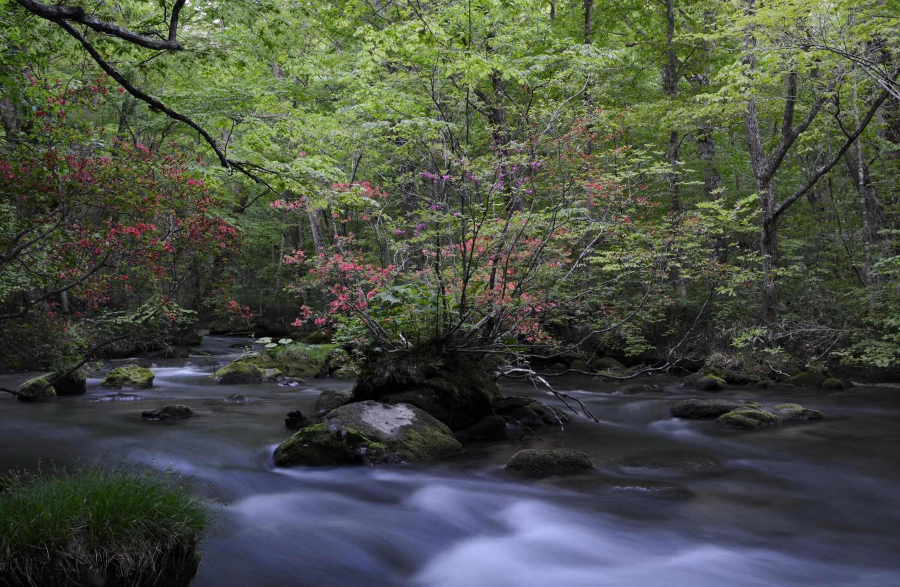 Seasons in Oirase Guest house KEGETSU