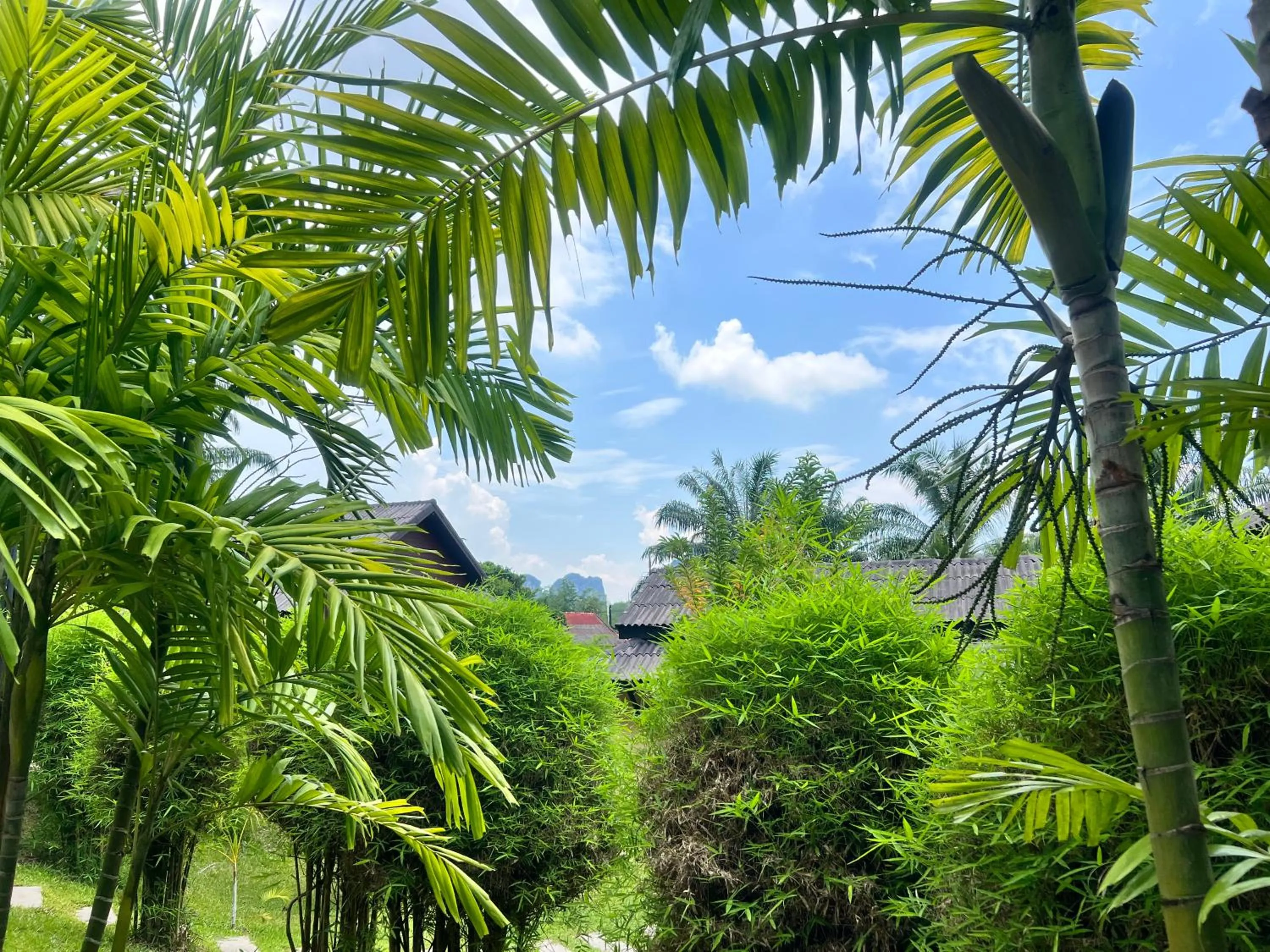 Day in Palm Kiri Aonang Resort