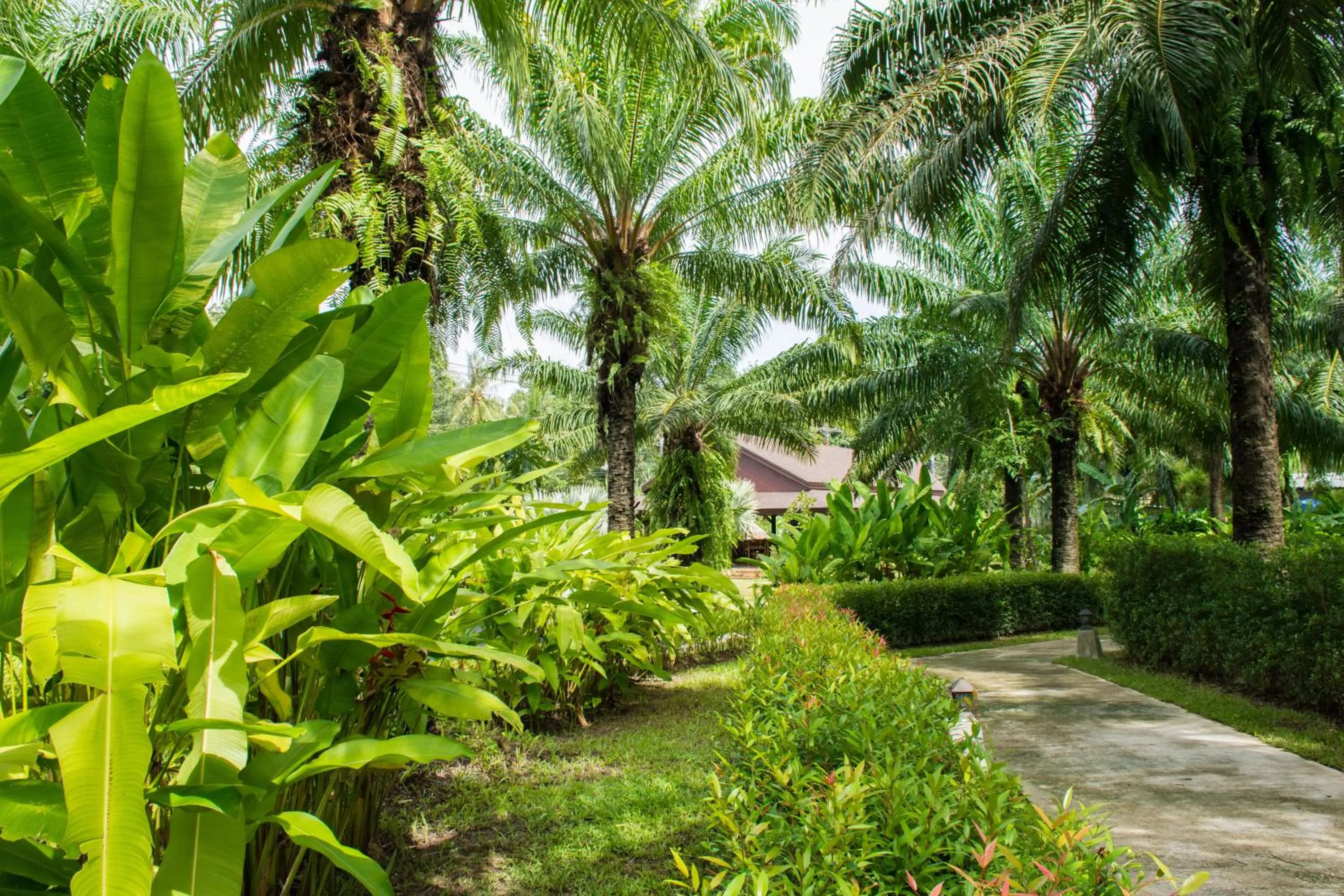Natural landscape in Palm Kiri Aonang Resort