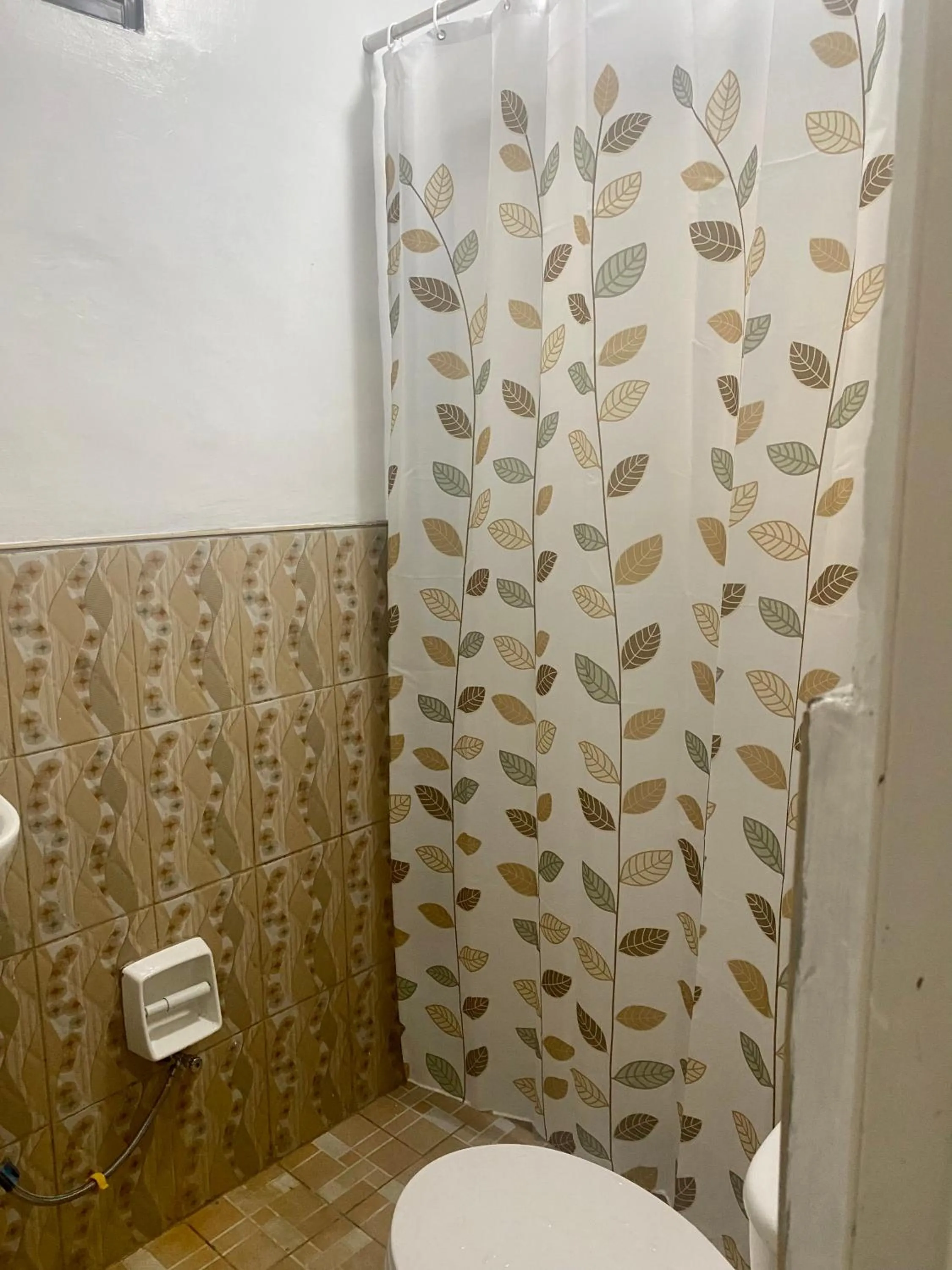 Bathroom in Alona's Traditional Filipino Home near 100 Islands Wharf