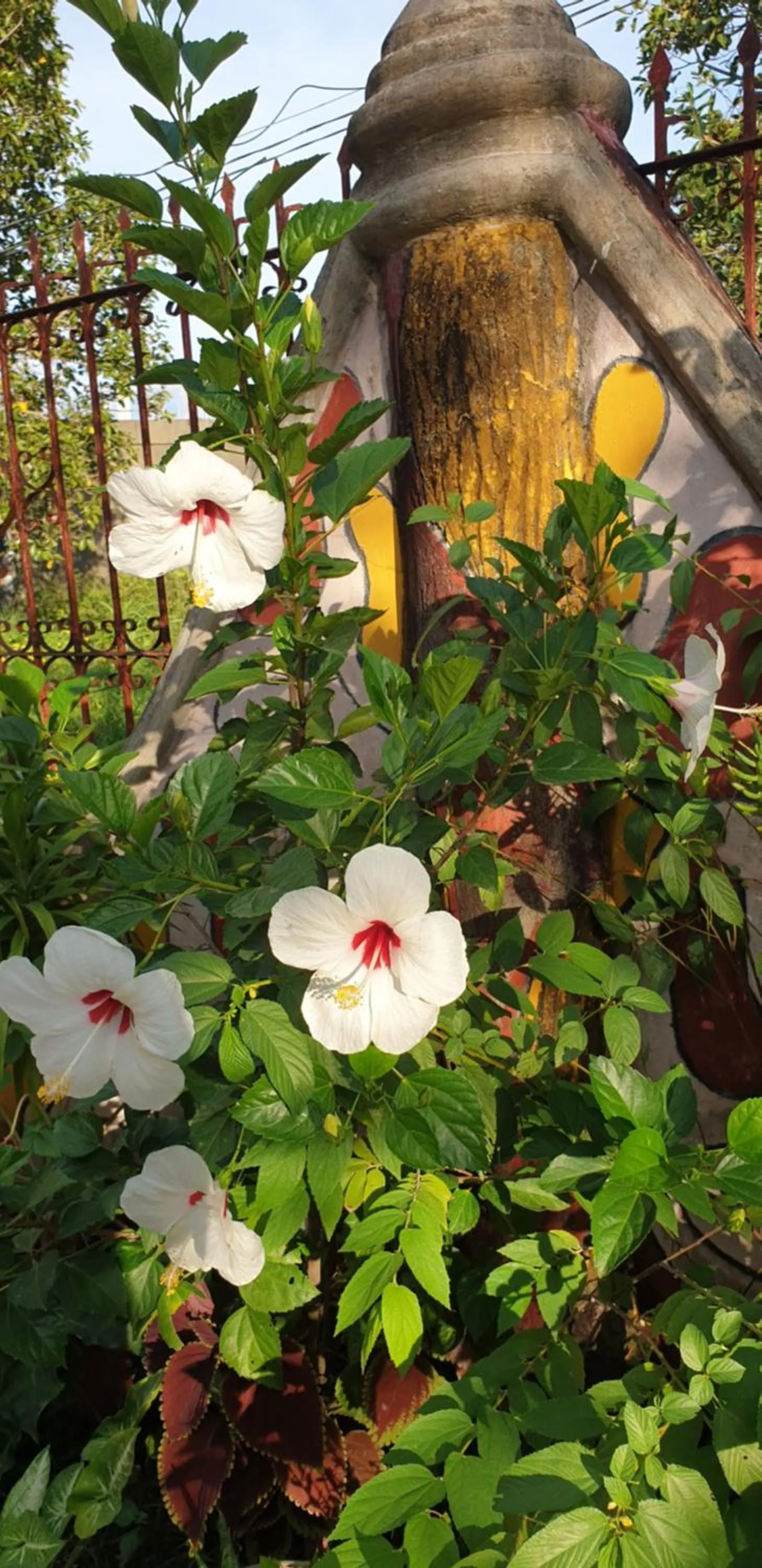 Garden in Alona's Traditional Filipino Home near 100 Islands Wharf