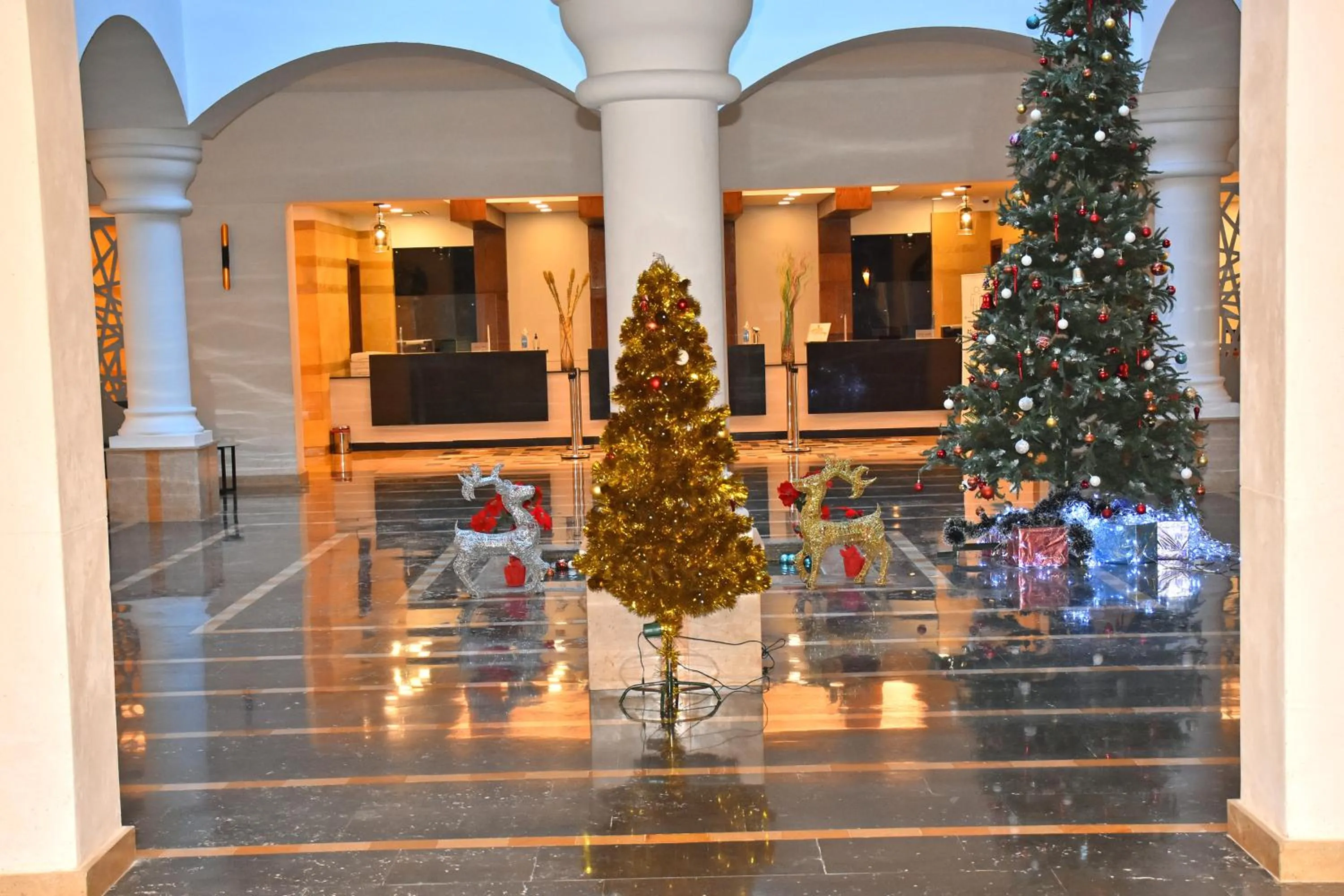 Lobby or reception in Marina Resort Port Ghalib, a member of Radisson Individuals