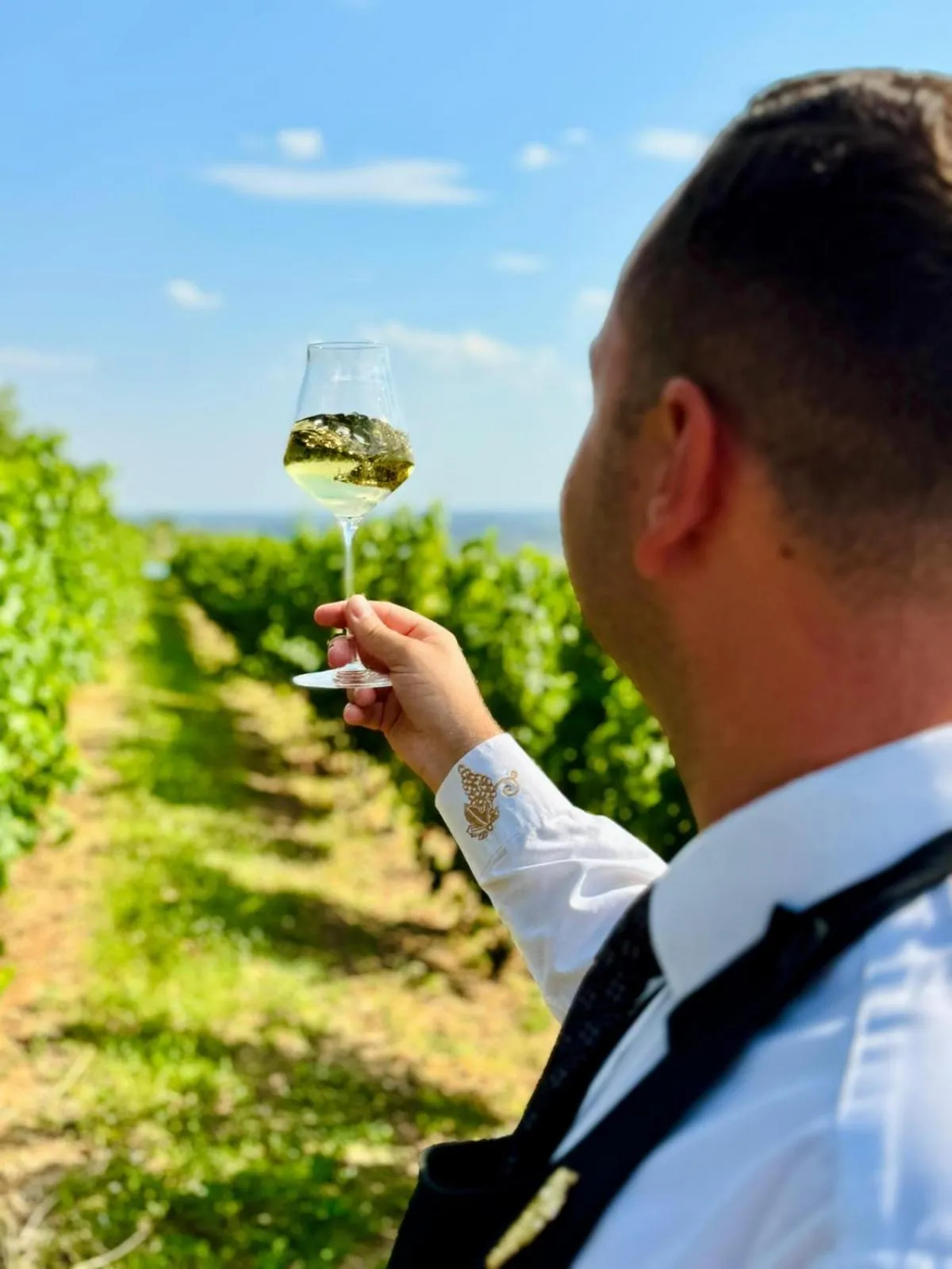 Activities in Casa Timiș - Wellness & Spa Resort