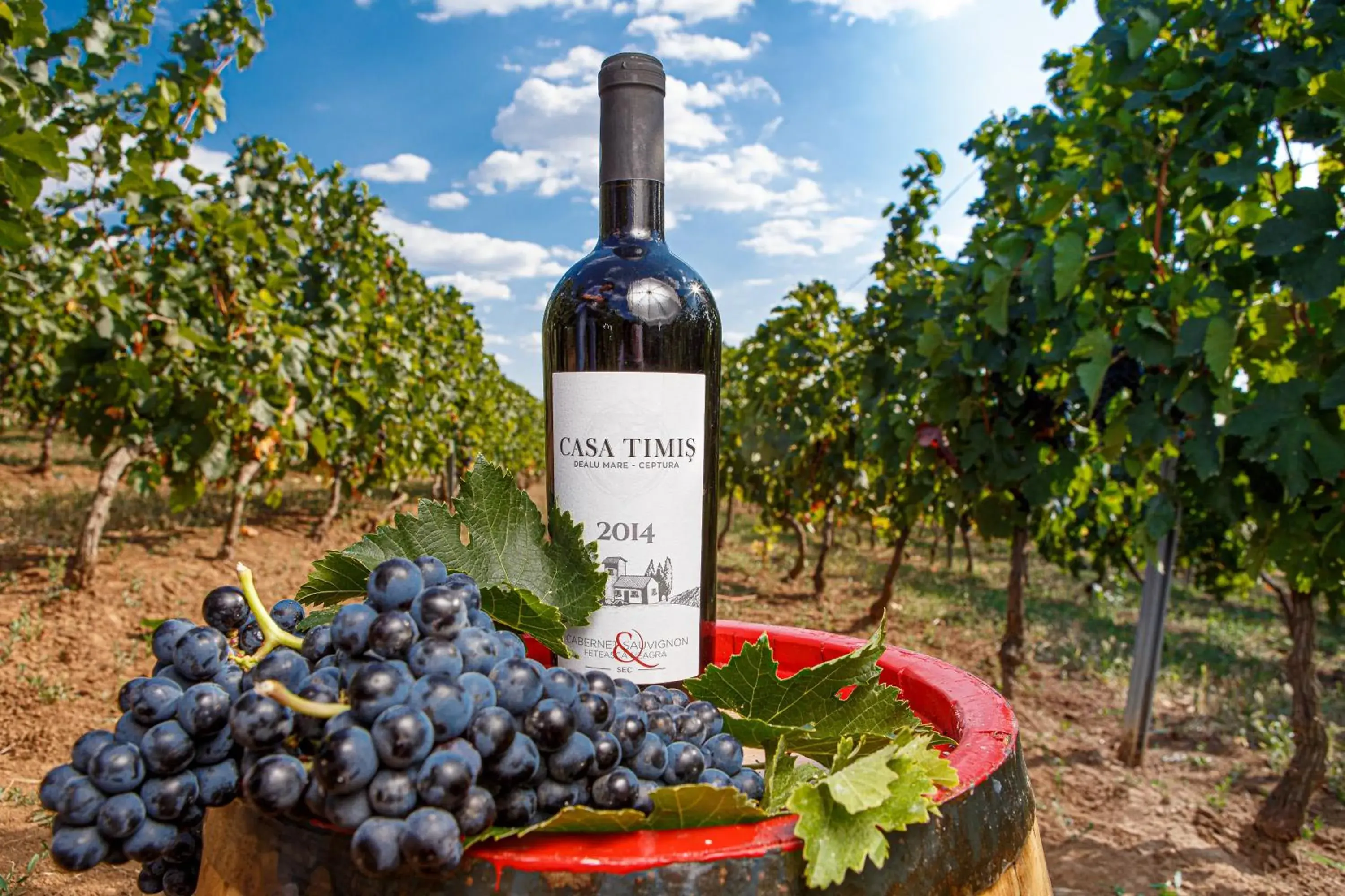 Food and drinks in Casa Timiș - Wellness & Spa Resort Food and drinks in Casa Timiș - Wellness & Spa Resort