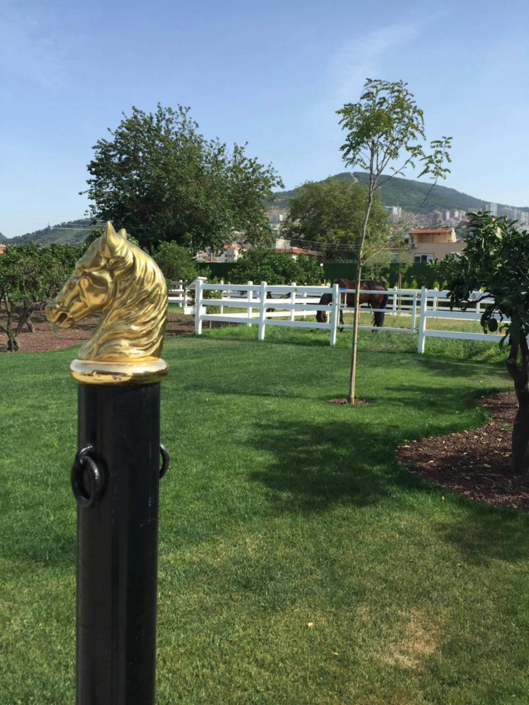 View (from property/room) in B. Equine Range Hotel