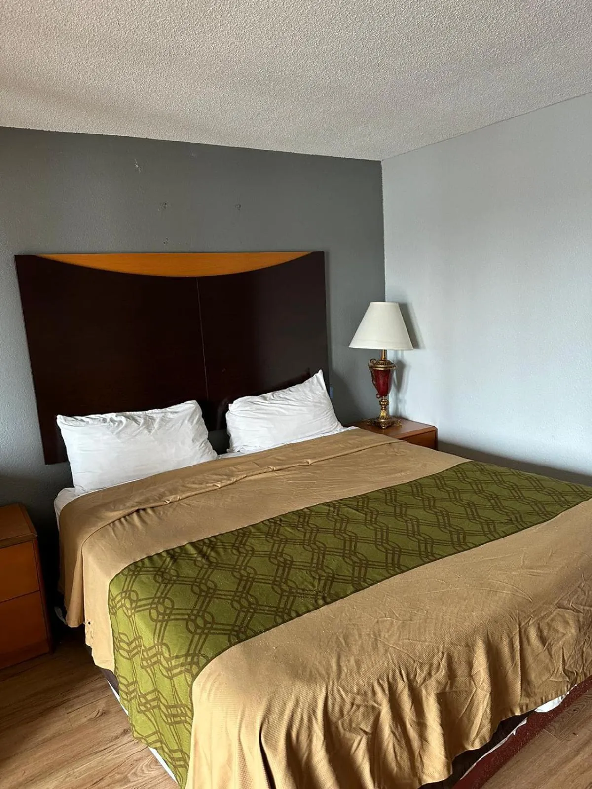 Bed in Rodeway Inn Hopkinsville